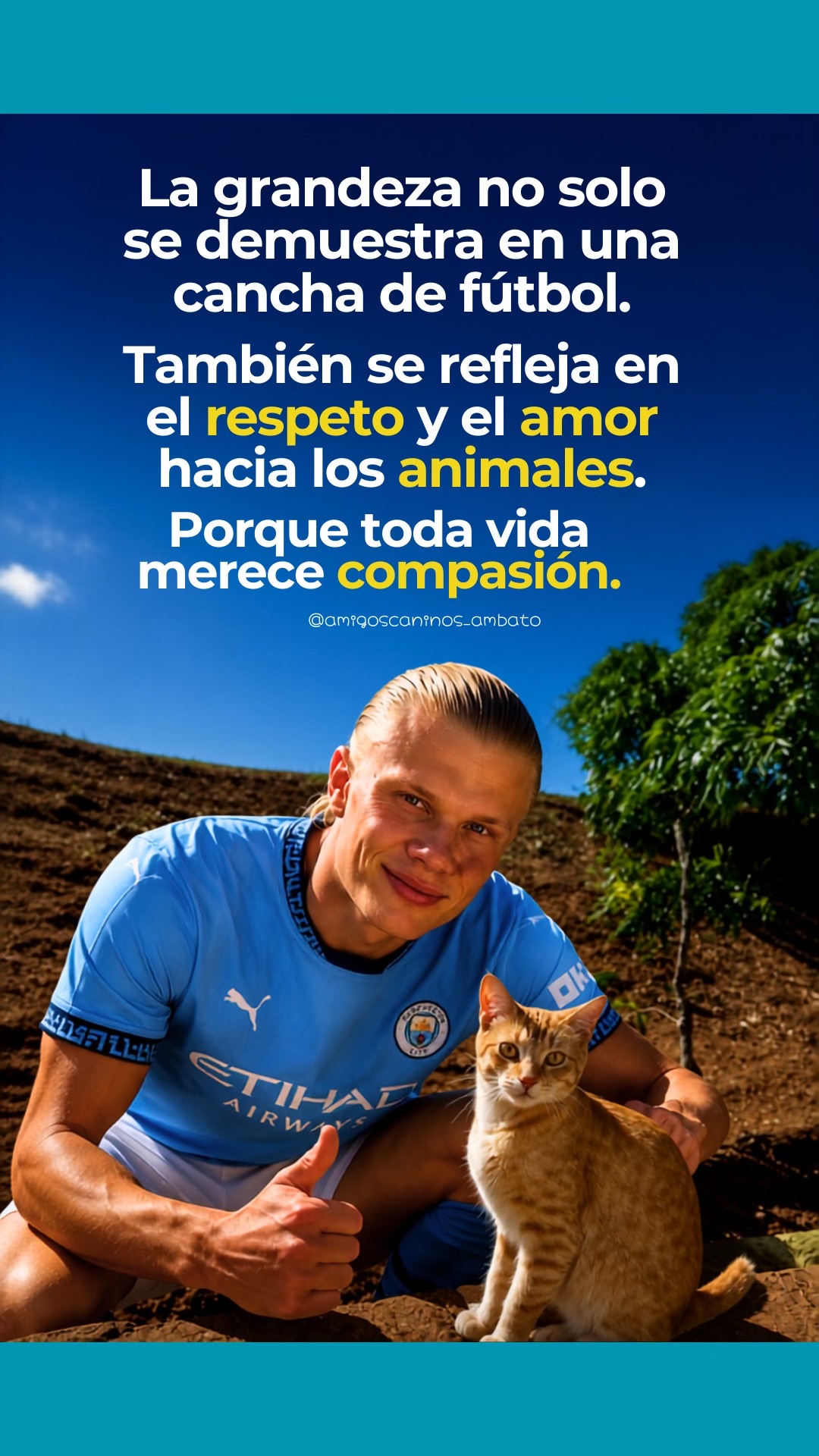@Amigoscaninos_Ambato