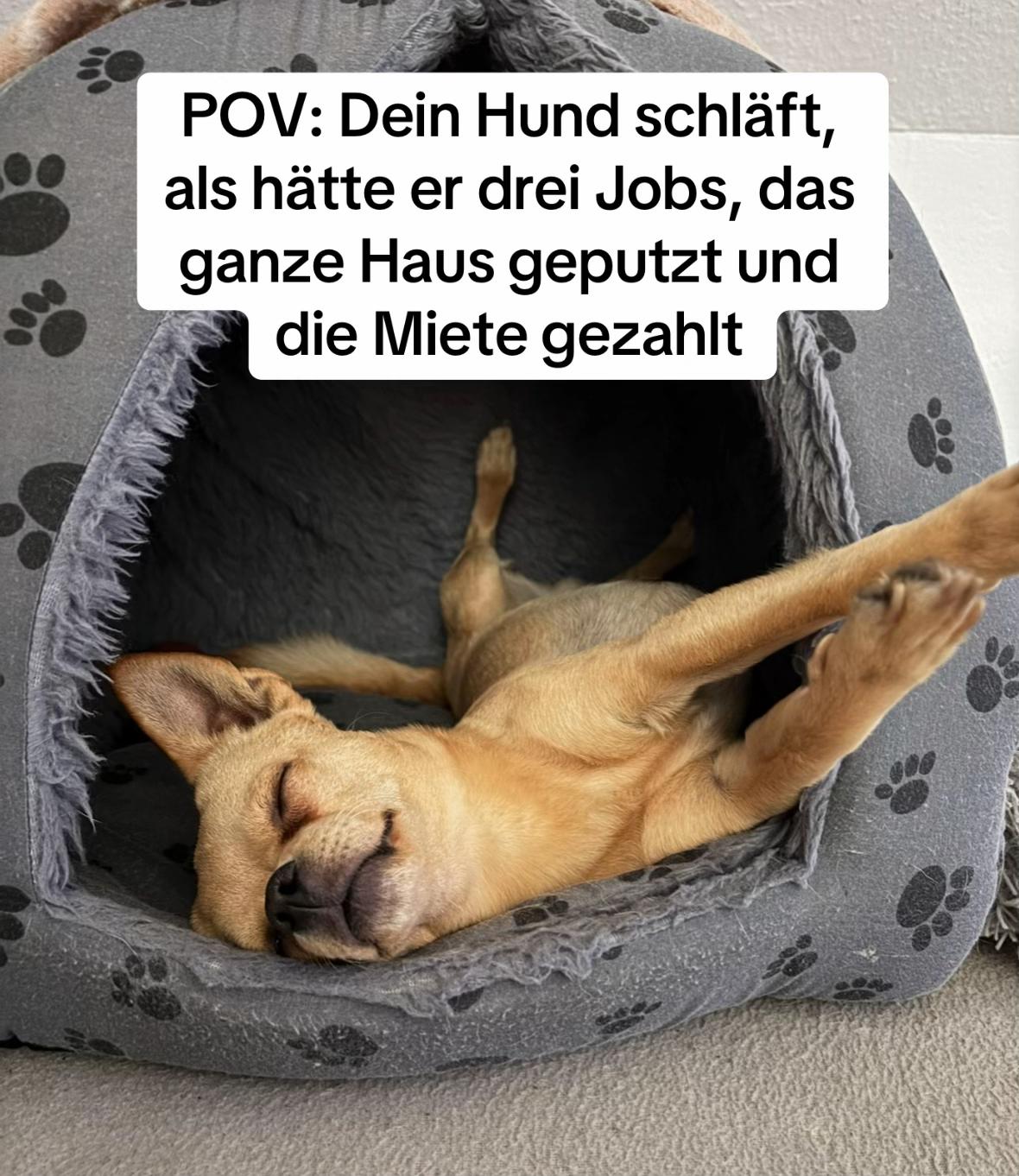 @Ann-Kathrin🦋