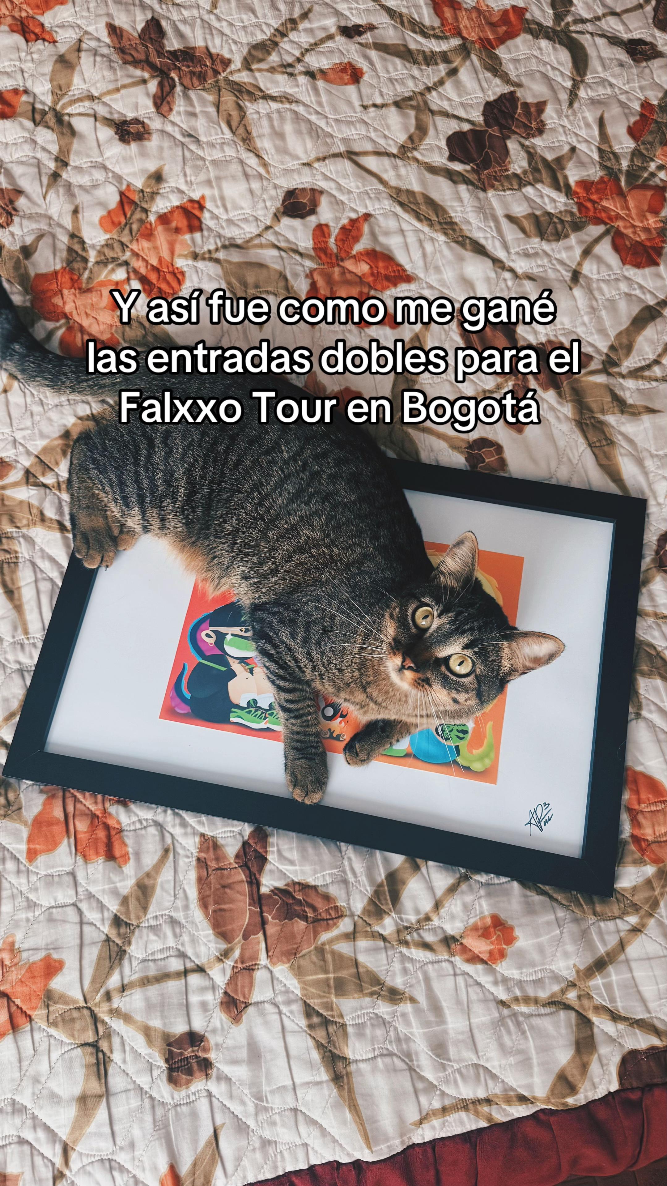 @Daniel Amaya