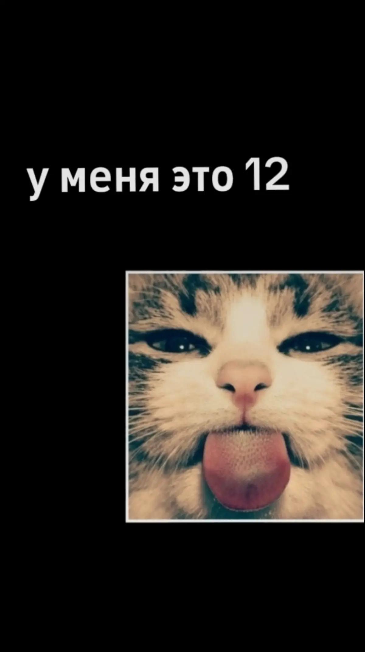 @⋆⁺₊⋆ ☾ ⋆⁺₊⋆ ☁︎