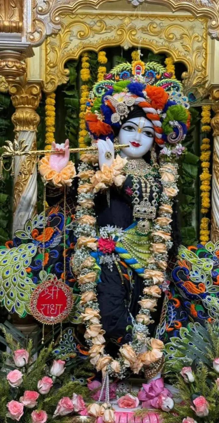@dharmishta06