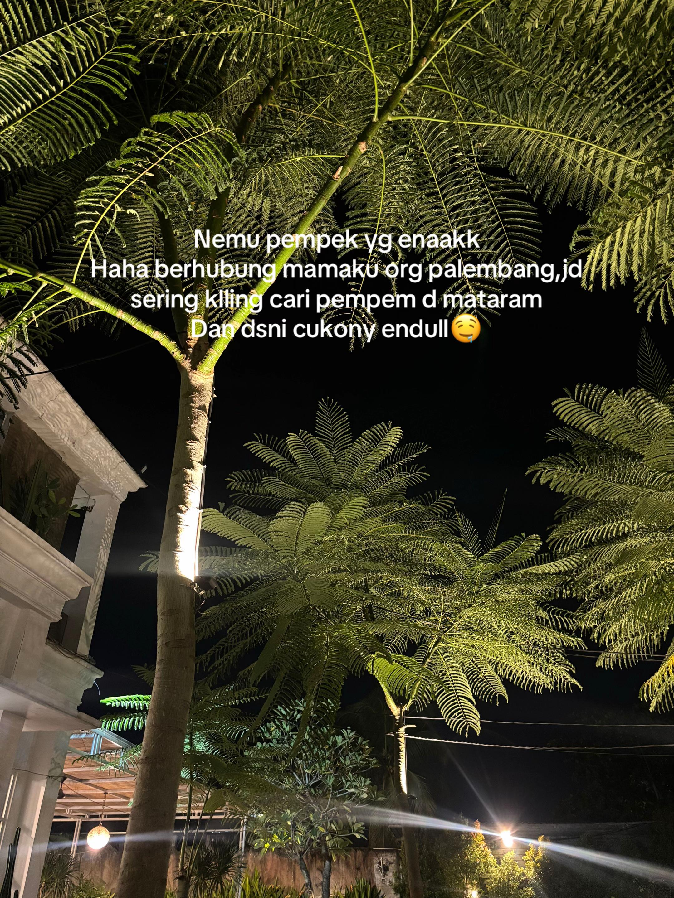 @Nanas🍍