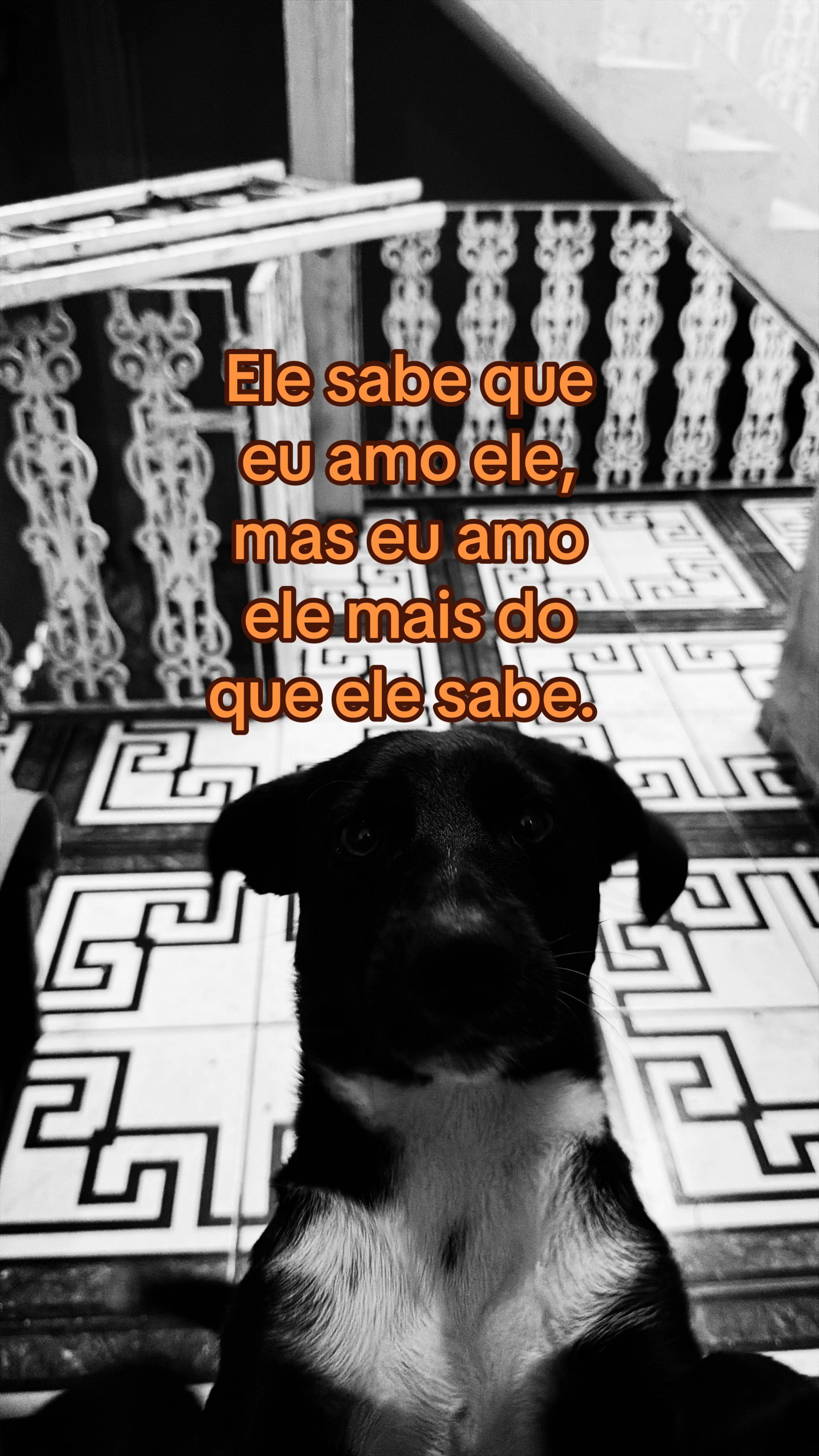 @Jully👾