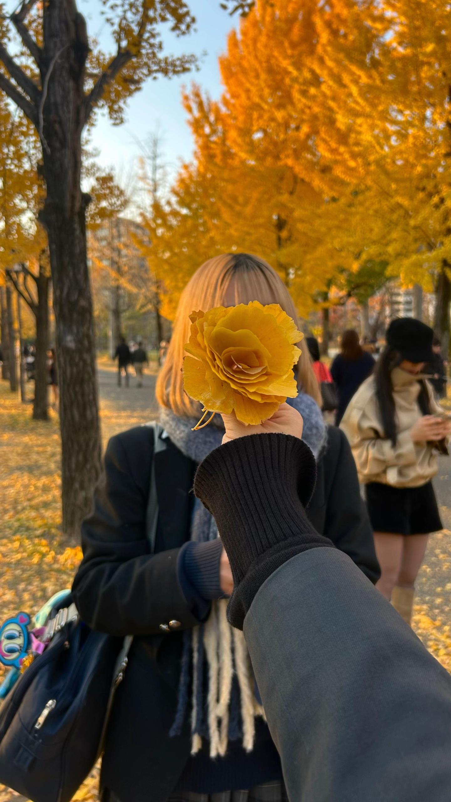 @mi