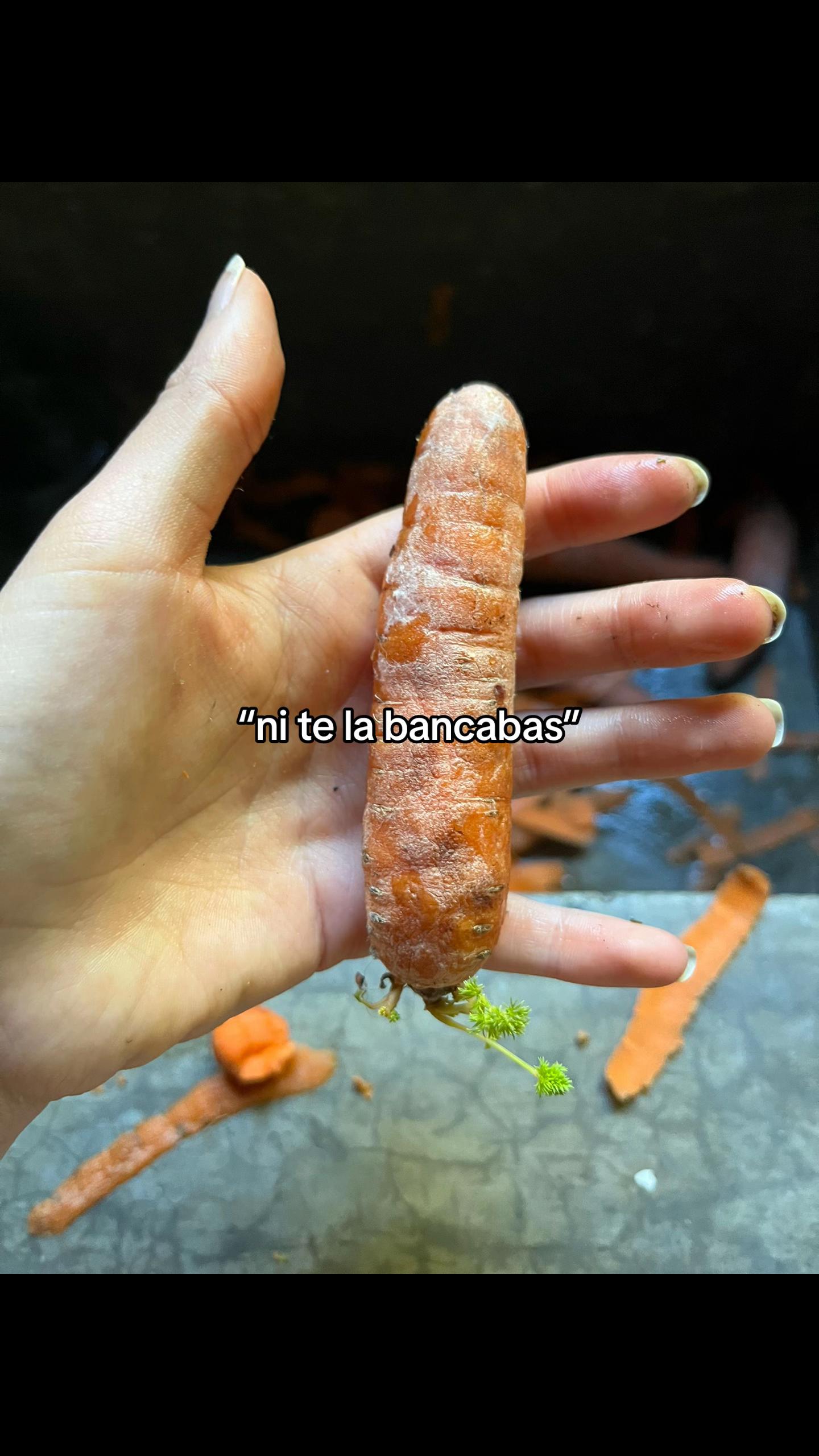 @palomalescano._