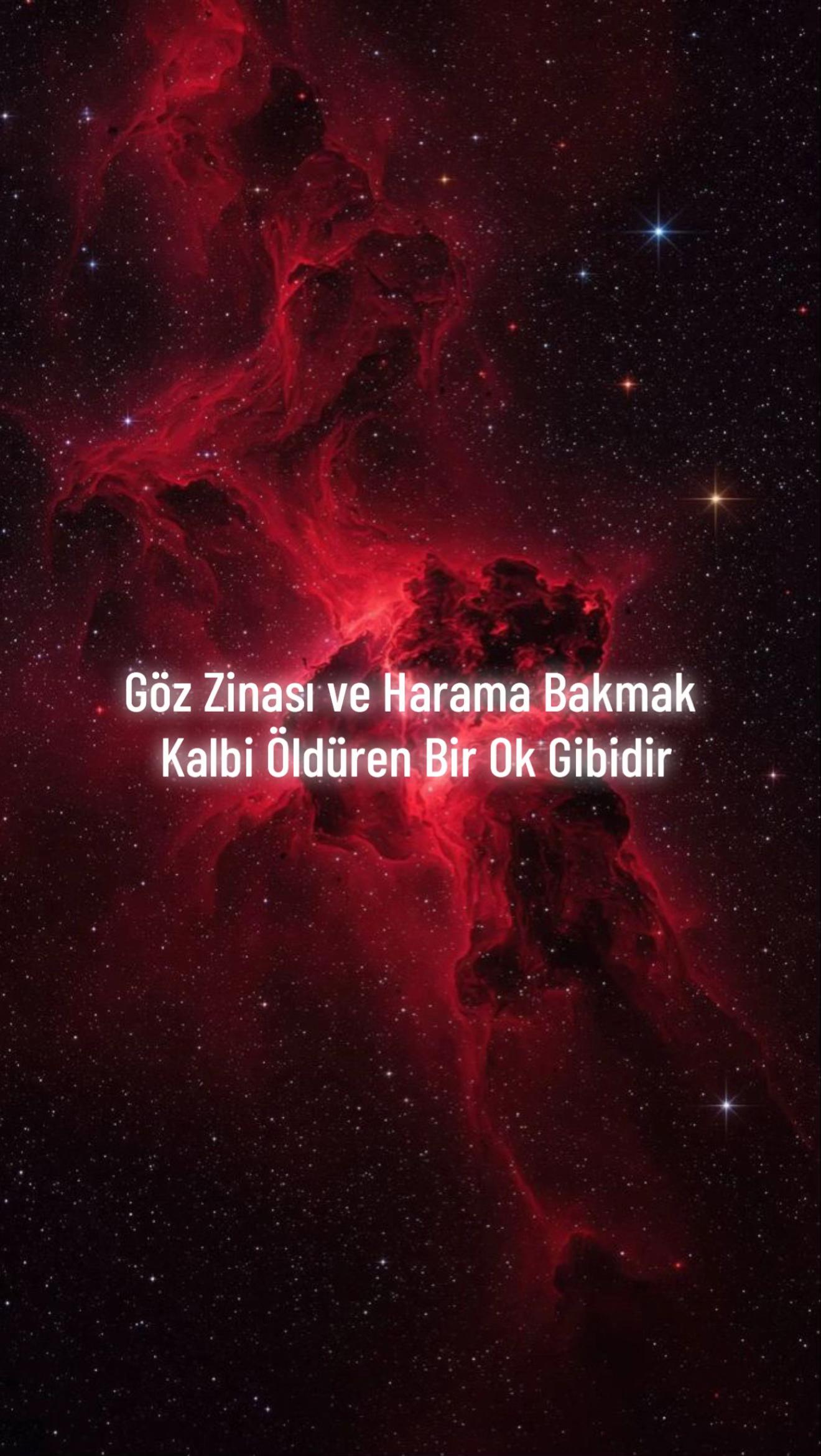 @TEVHİD_GENCİ