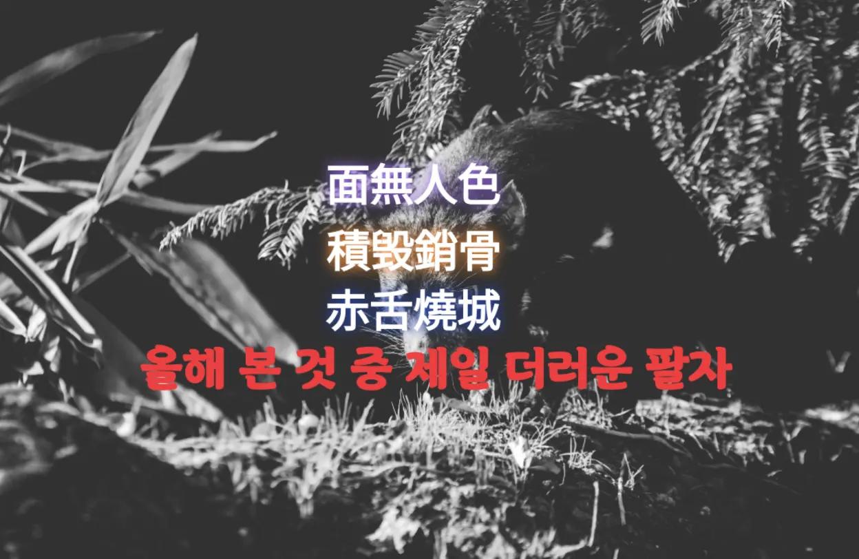 @진인사(盡人事)타로