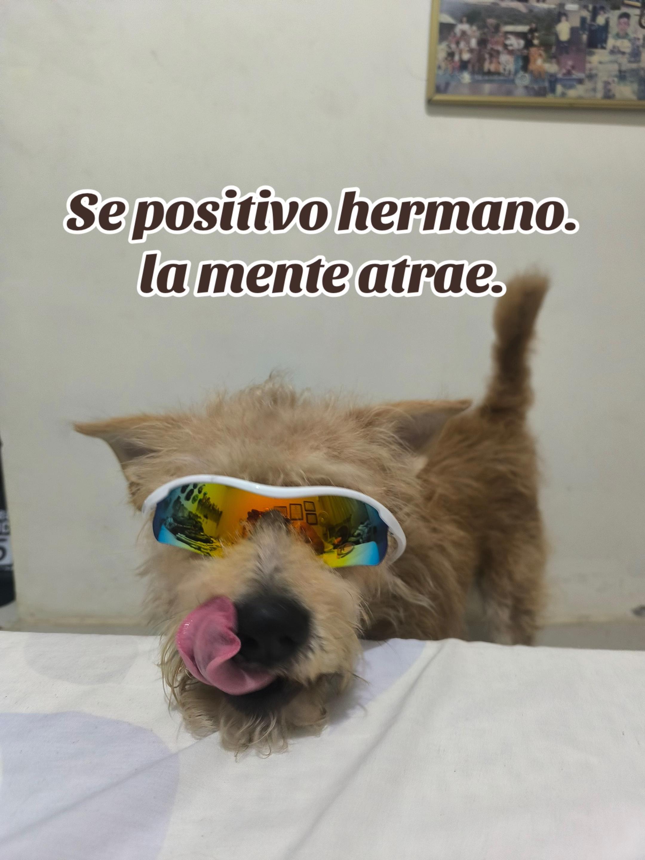 @Manuel Viveros