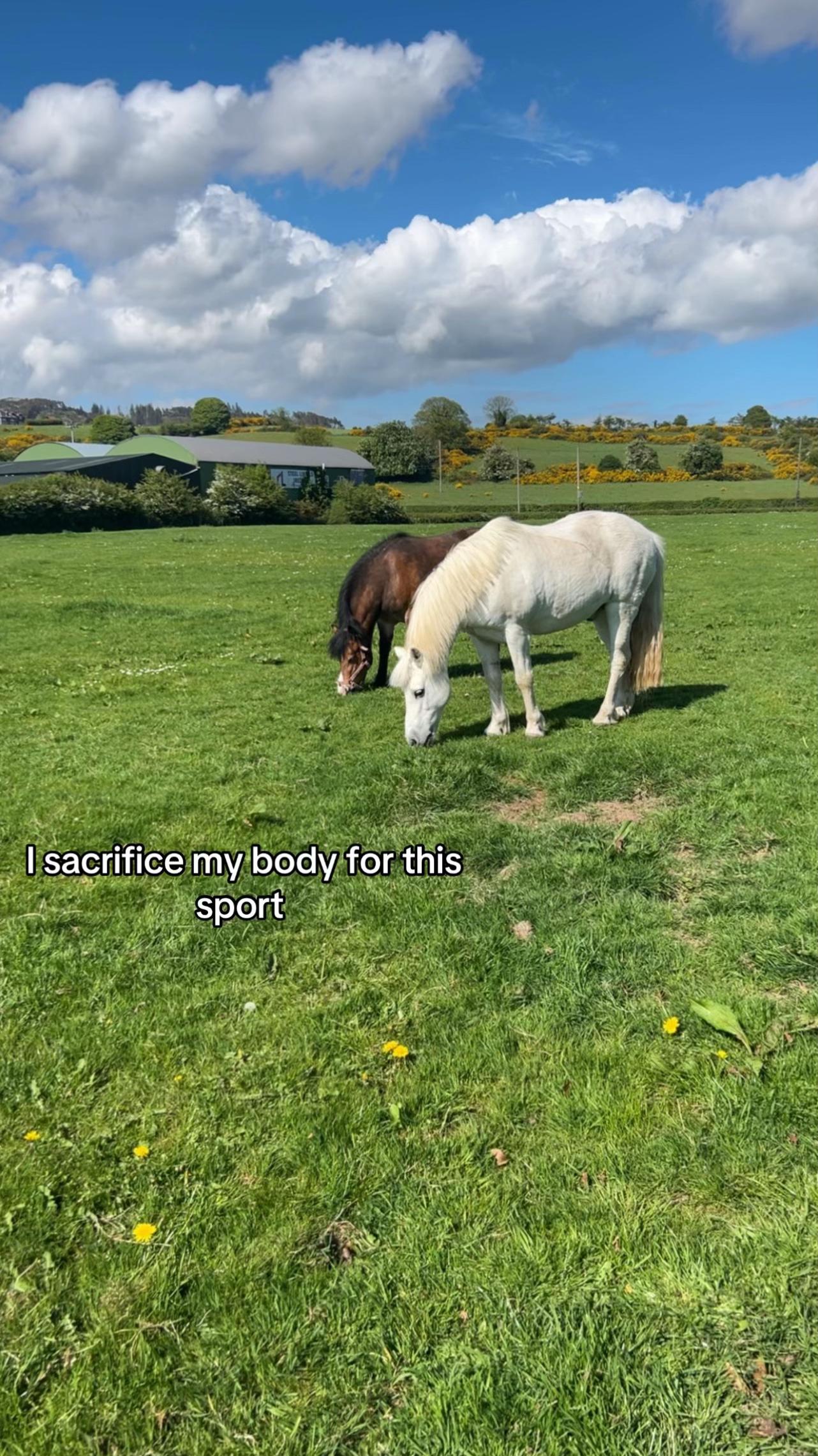 @aoibheann717
