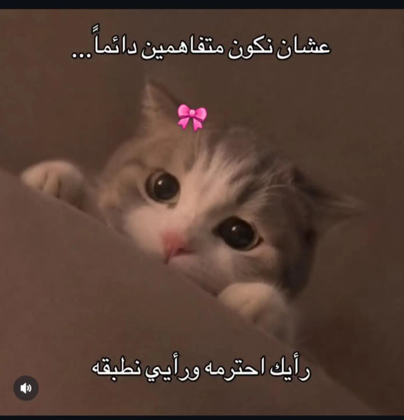 @Dr/Doaa