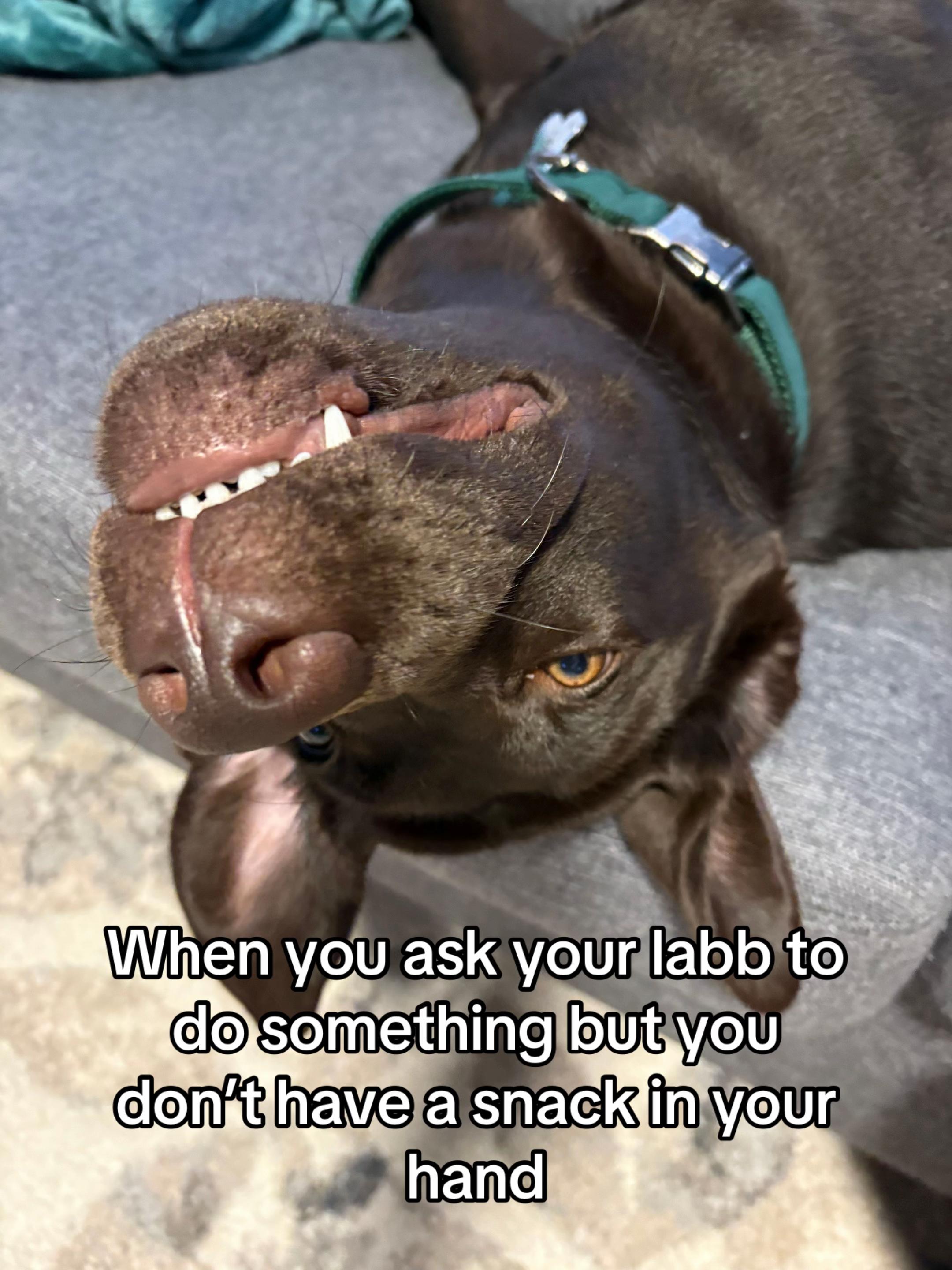 @LandoTheLab
