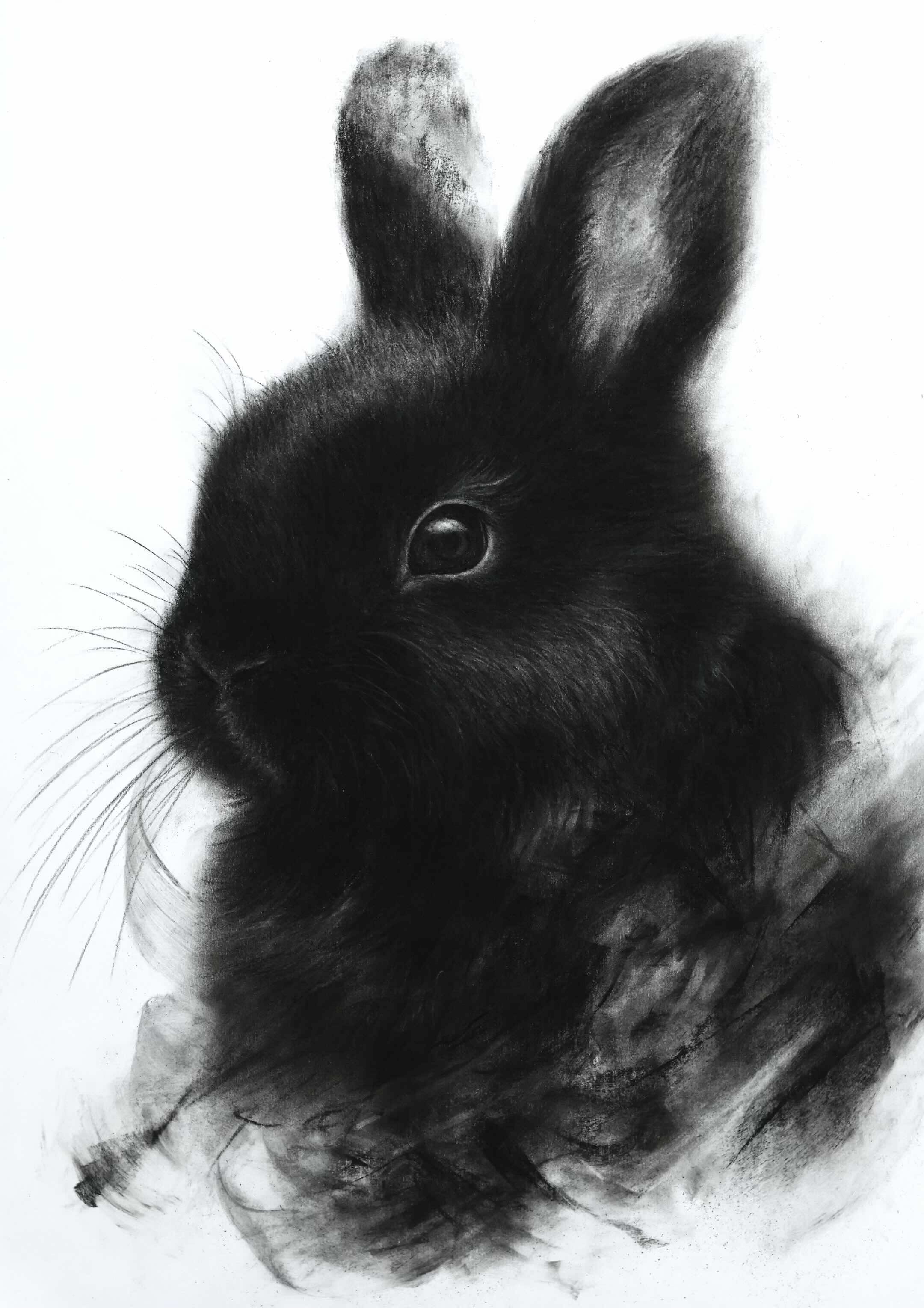 @ryosuke art