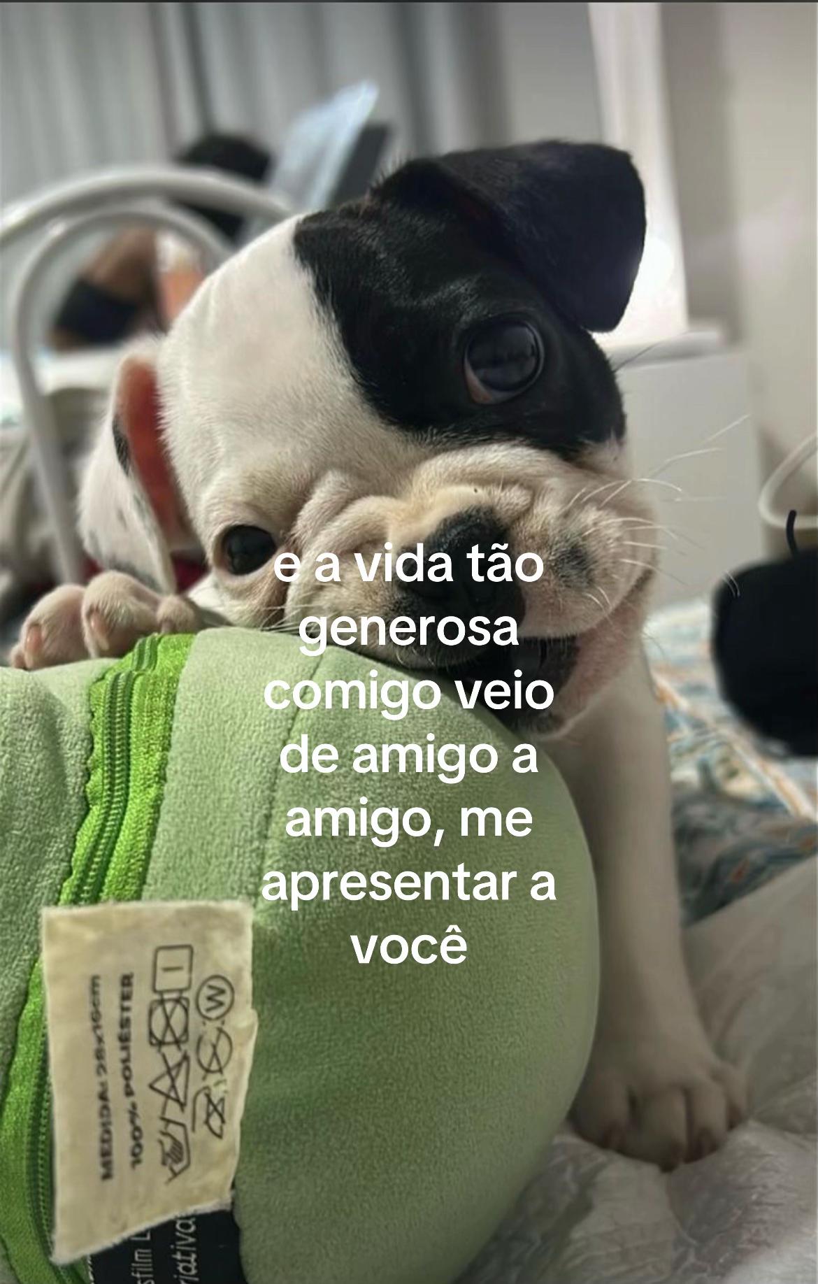 @dudasmaciel_