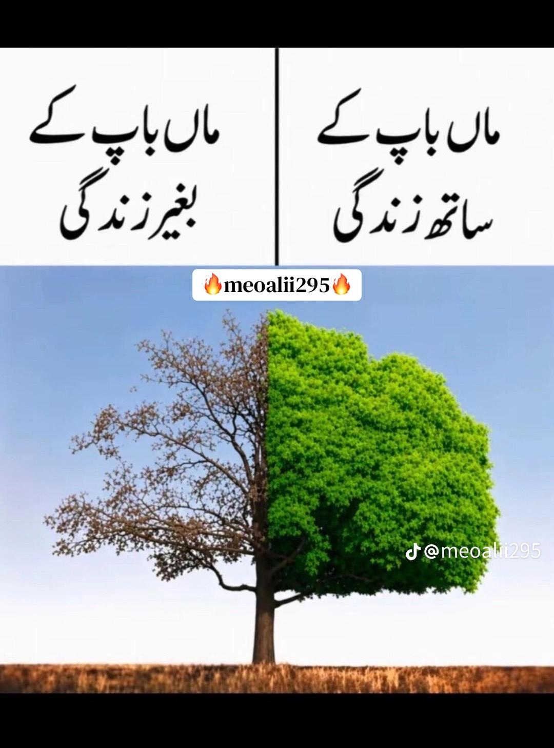 @Rizwan Rajput Official