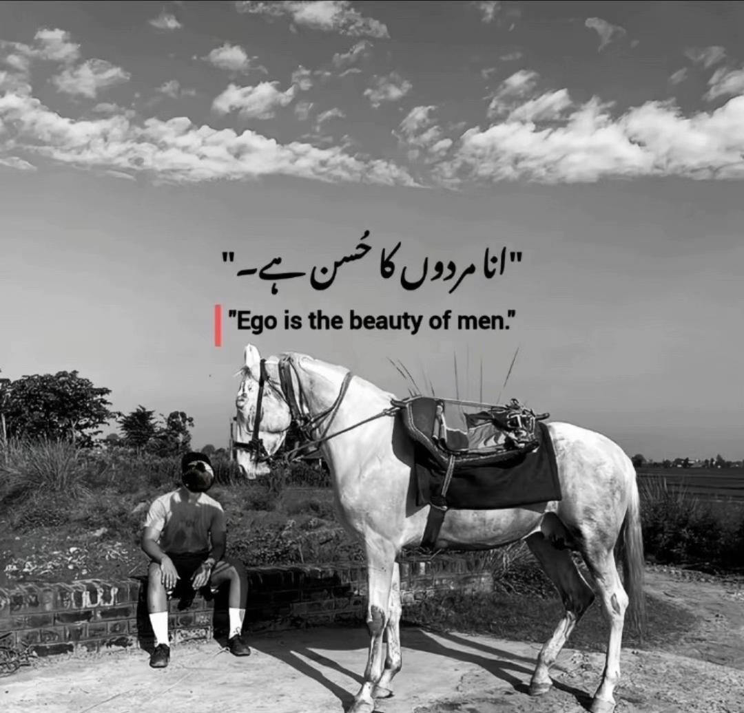 @✨چوہدری عاصم حُسین✨