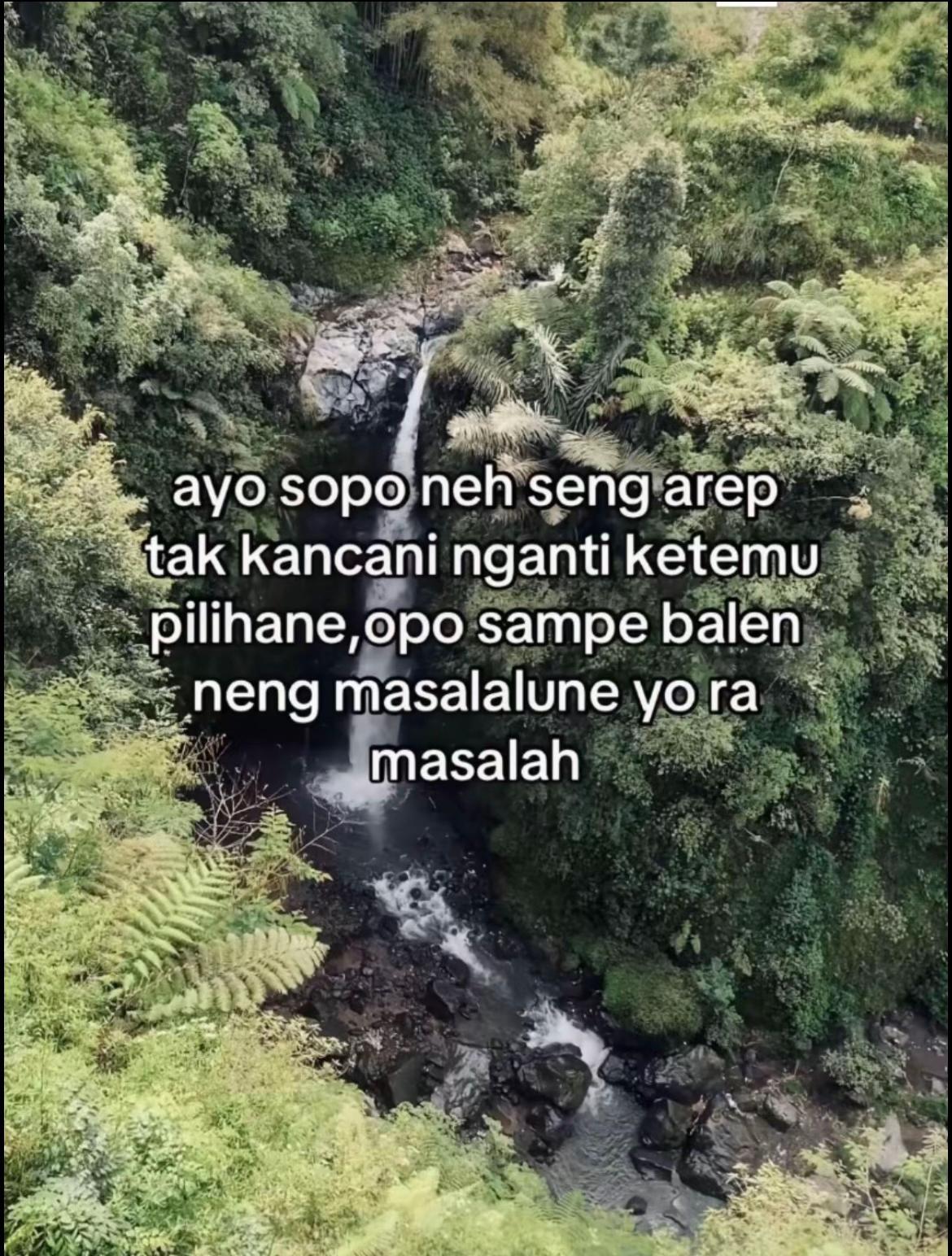 @K.