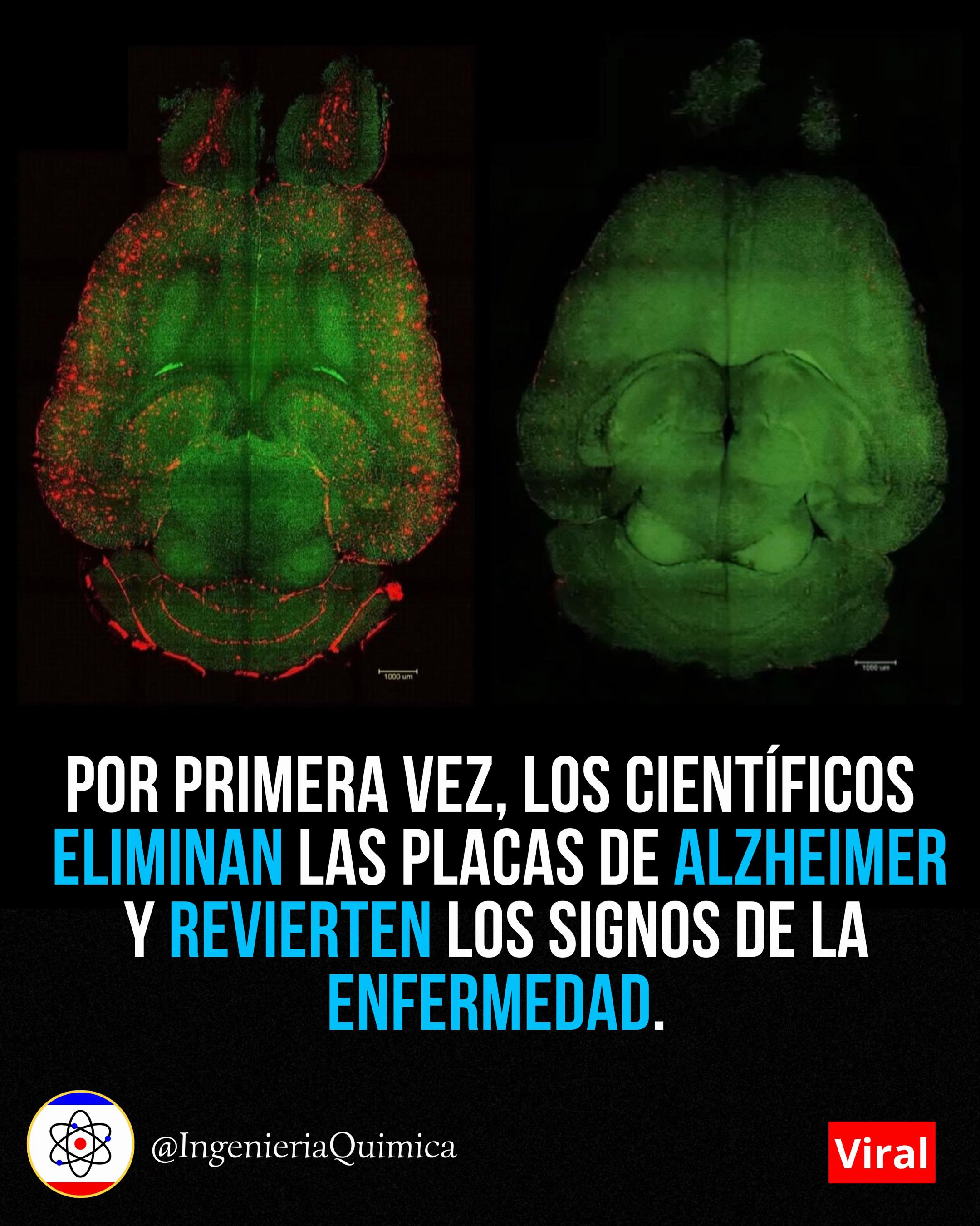 @Ingenier&iacute;a Qu&iacute;mica 🧪