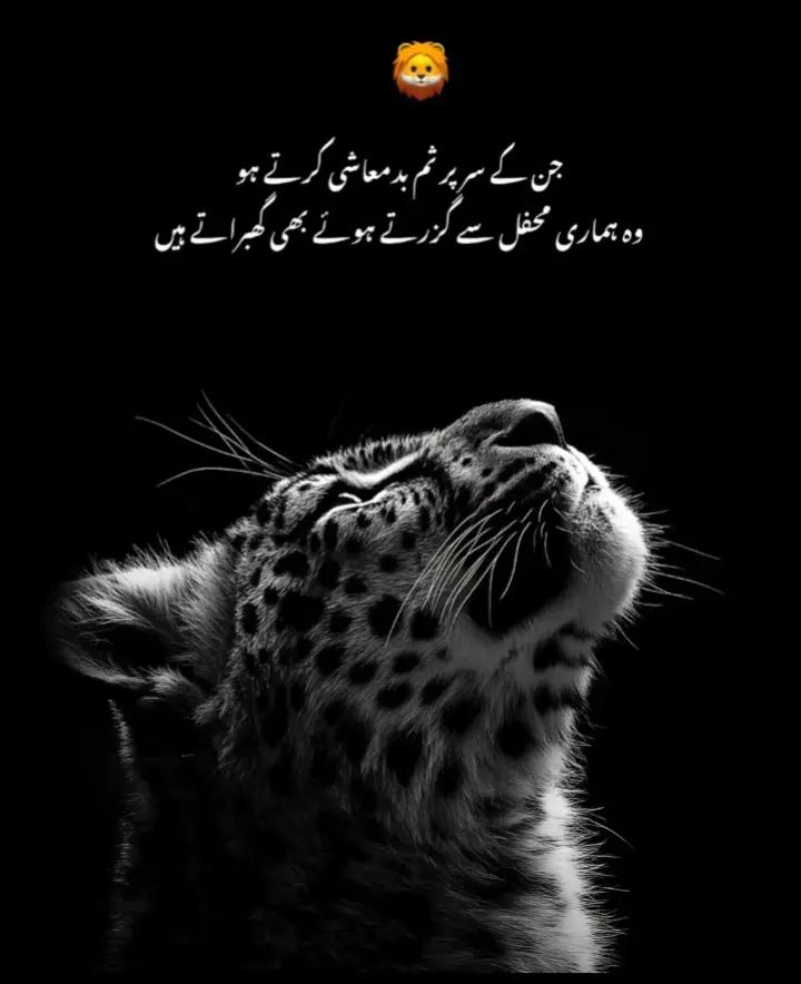 @🦁میاں اُسامہ 🦁