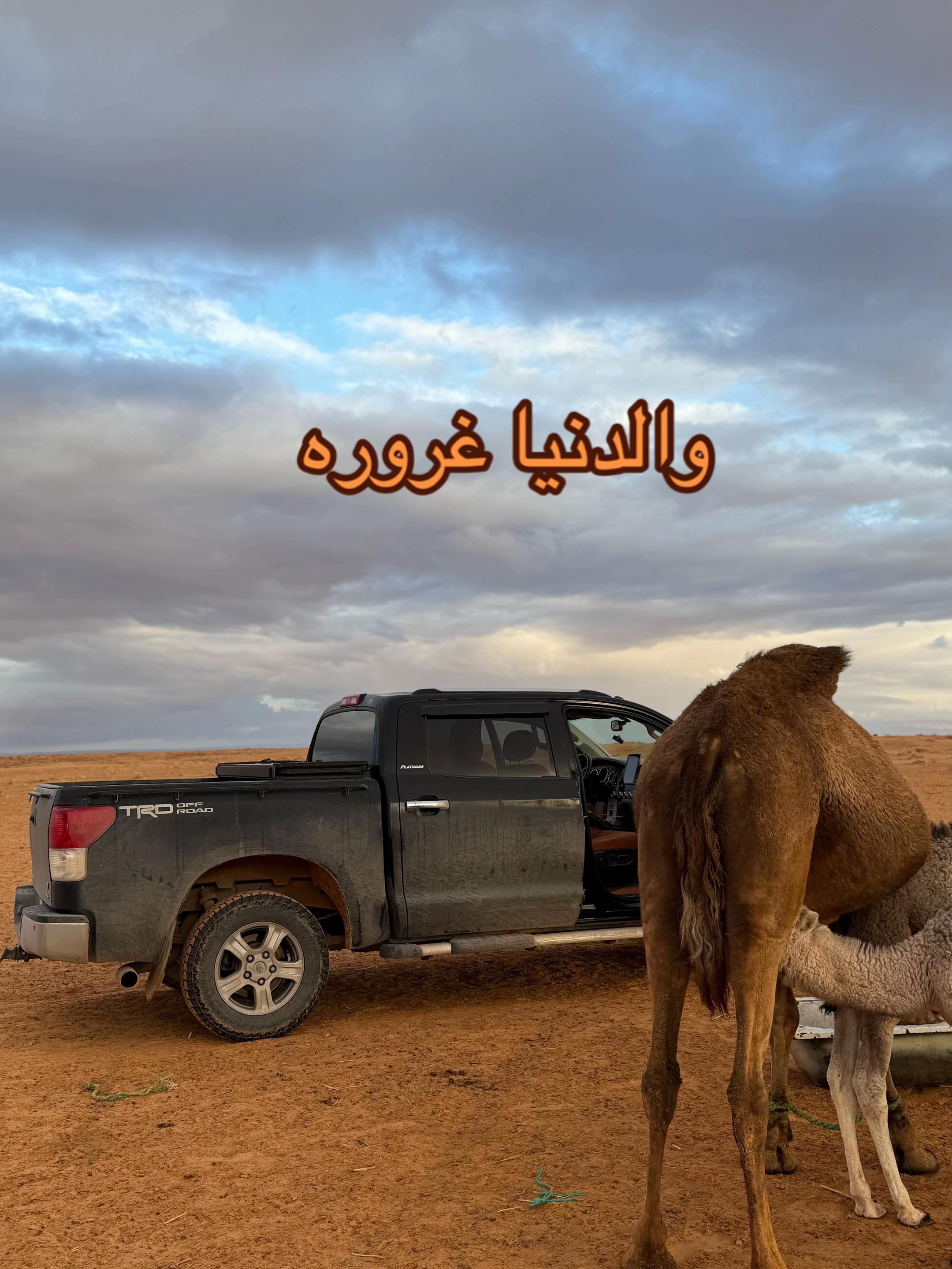@نوري الحقيق🇱🇾5050