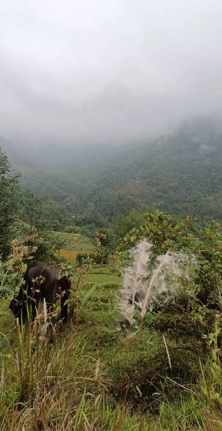@🇳🇵नेपाली गाउँ बस्ती🌹