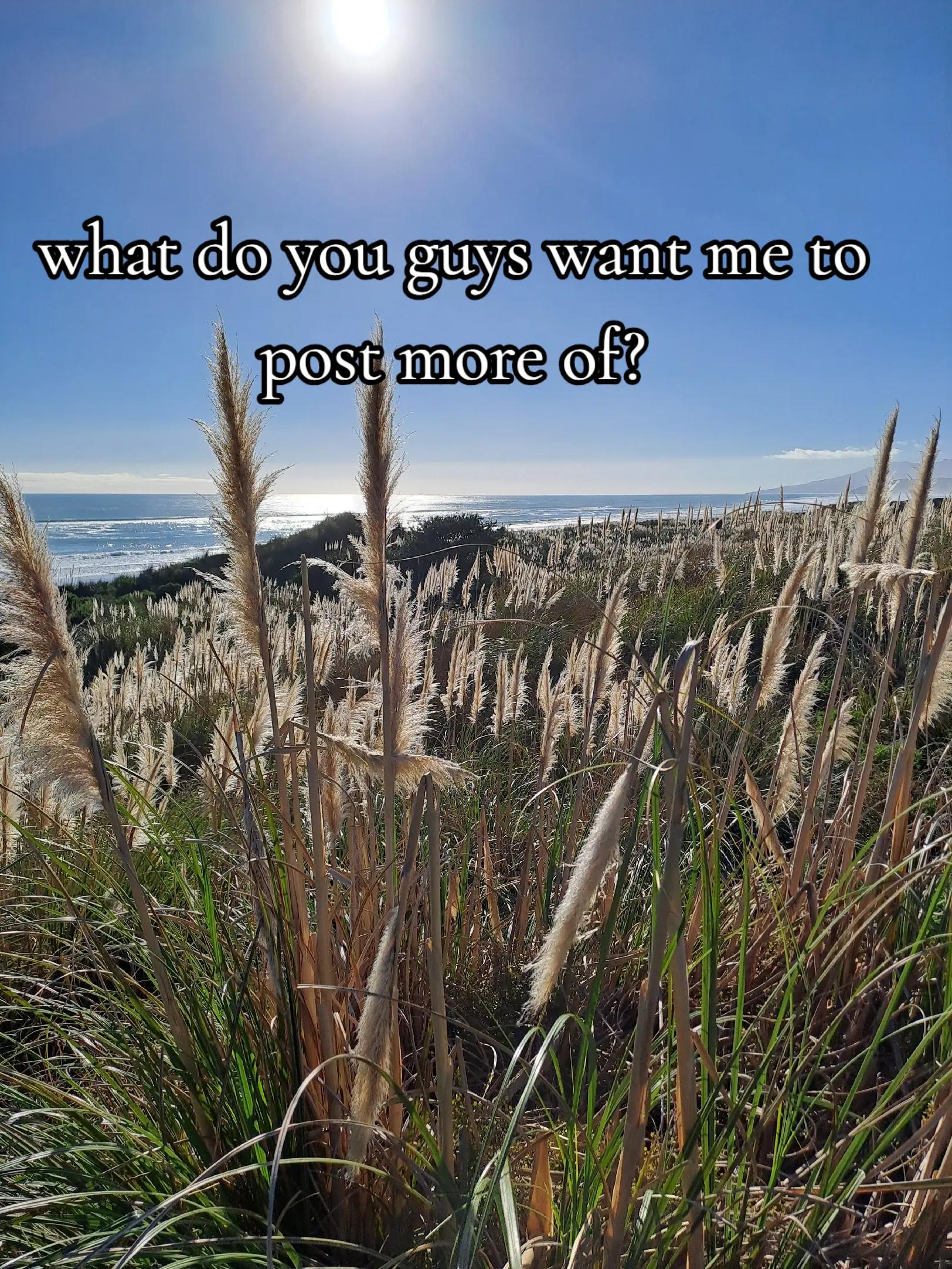@another spam