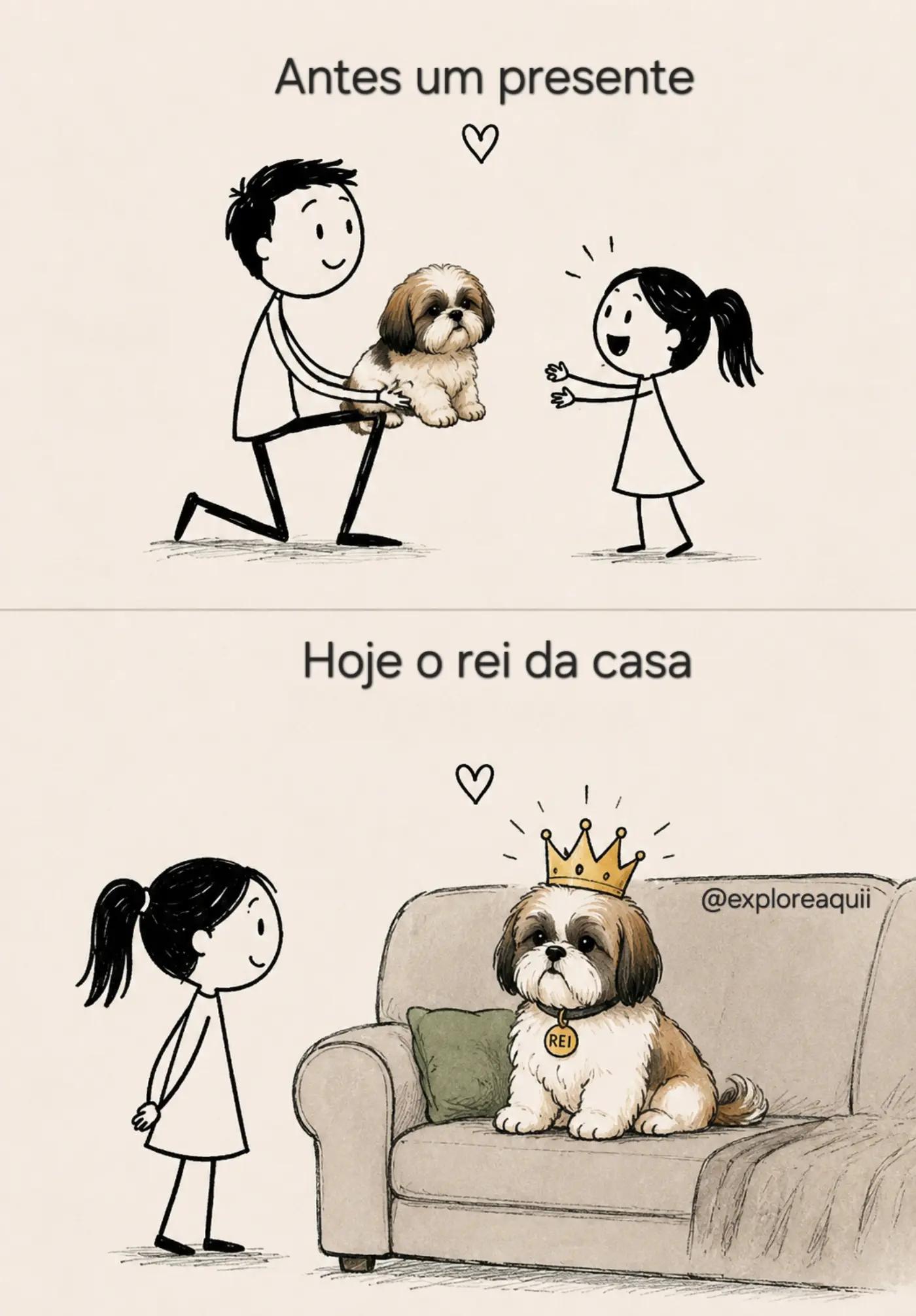 @Explore Aquii 🐾🐾✨️