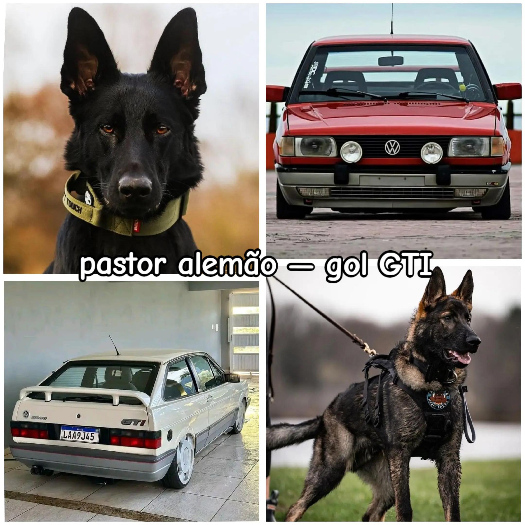 @•°★The_dogs!★°•