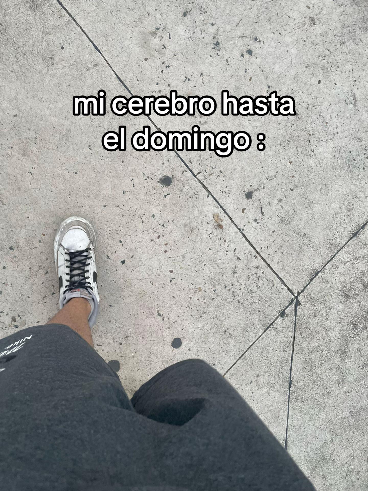 @feli_sona