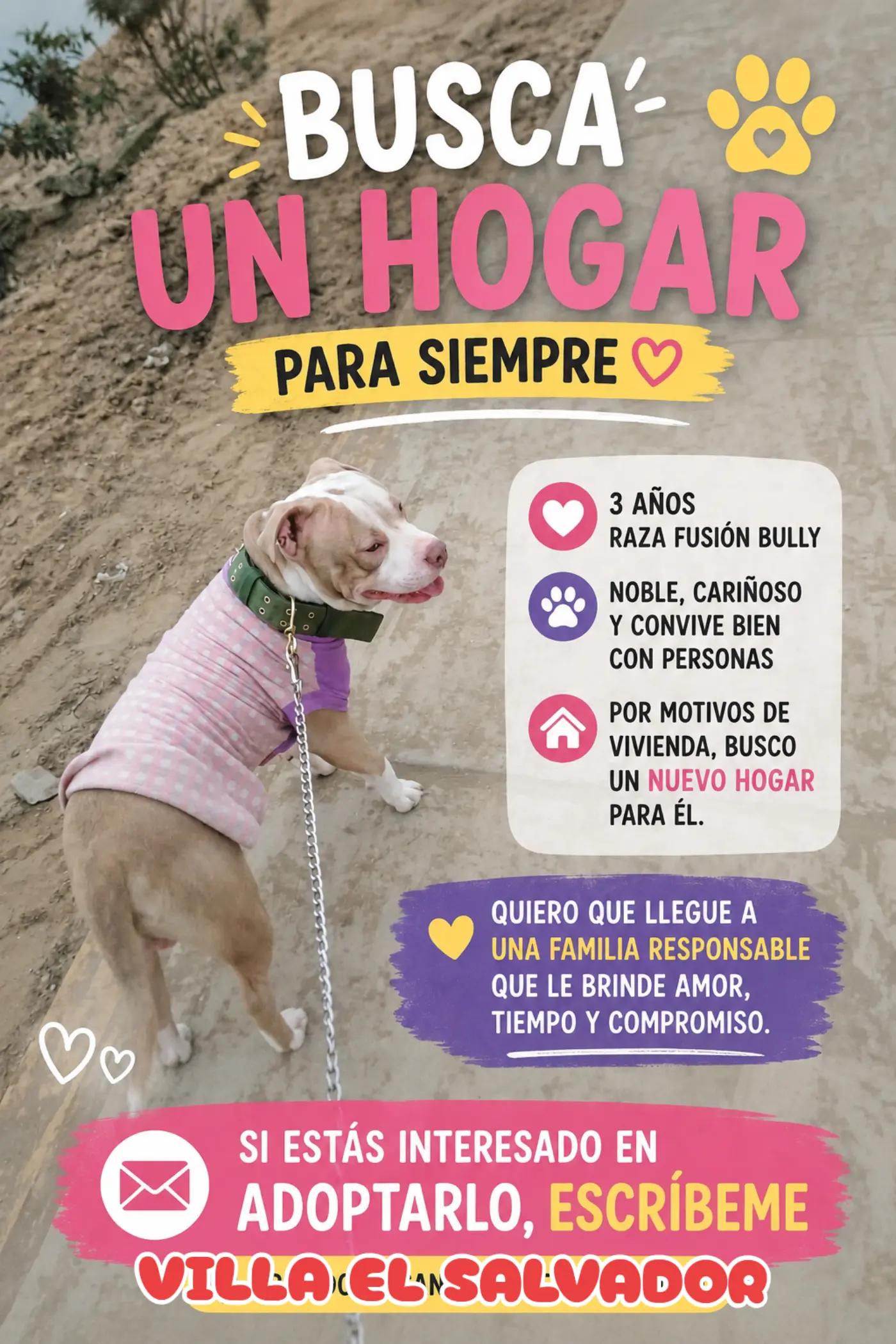 @Perritos Voladores