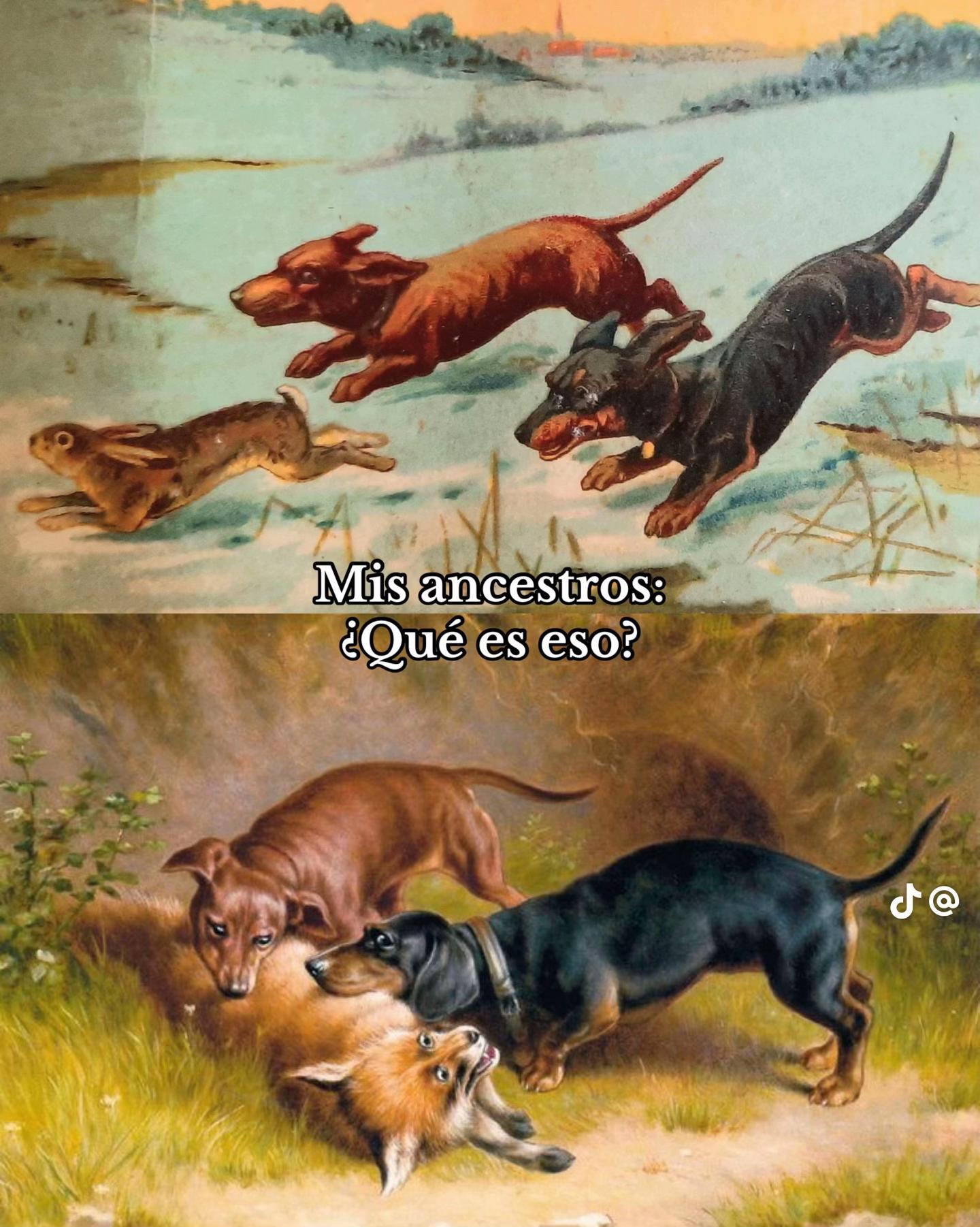 @Mario Delnido