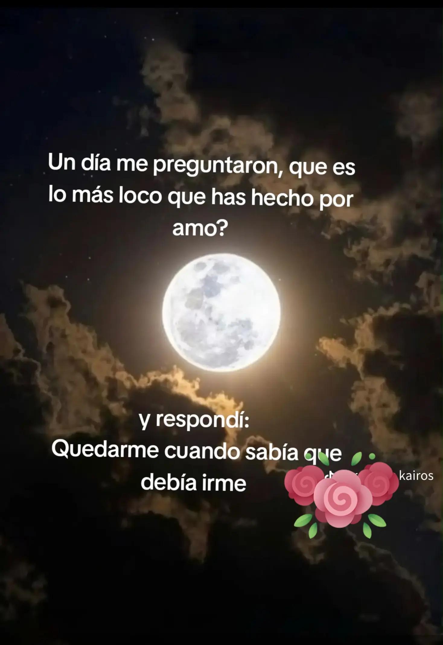 @rochy🌹🌹🌹
