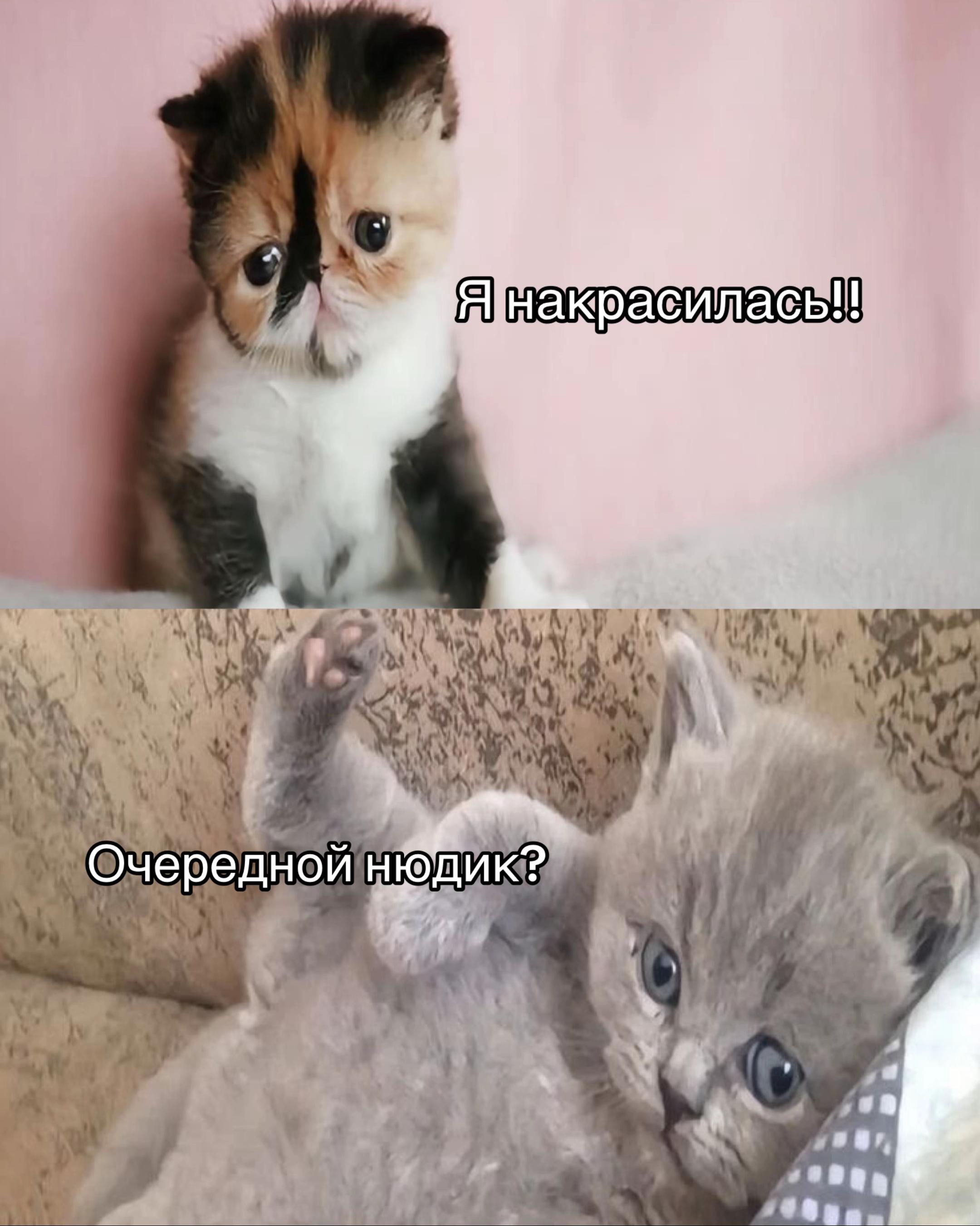 @ТГК: Мелаша