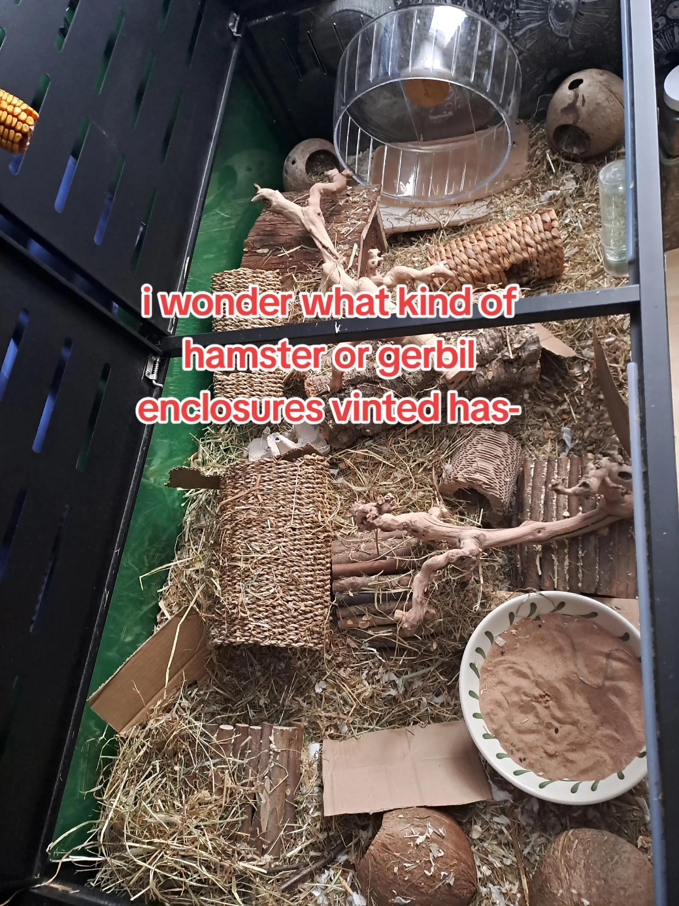 @🦷