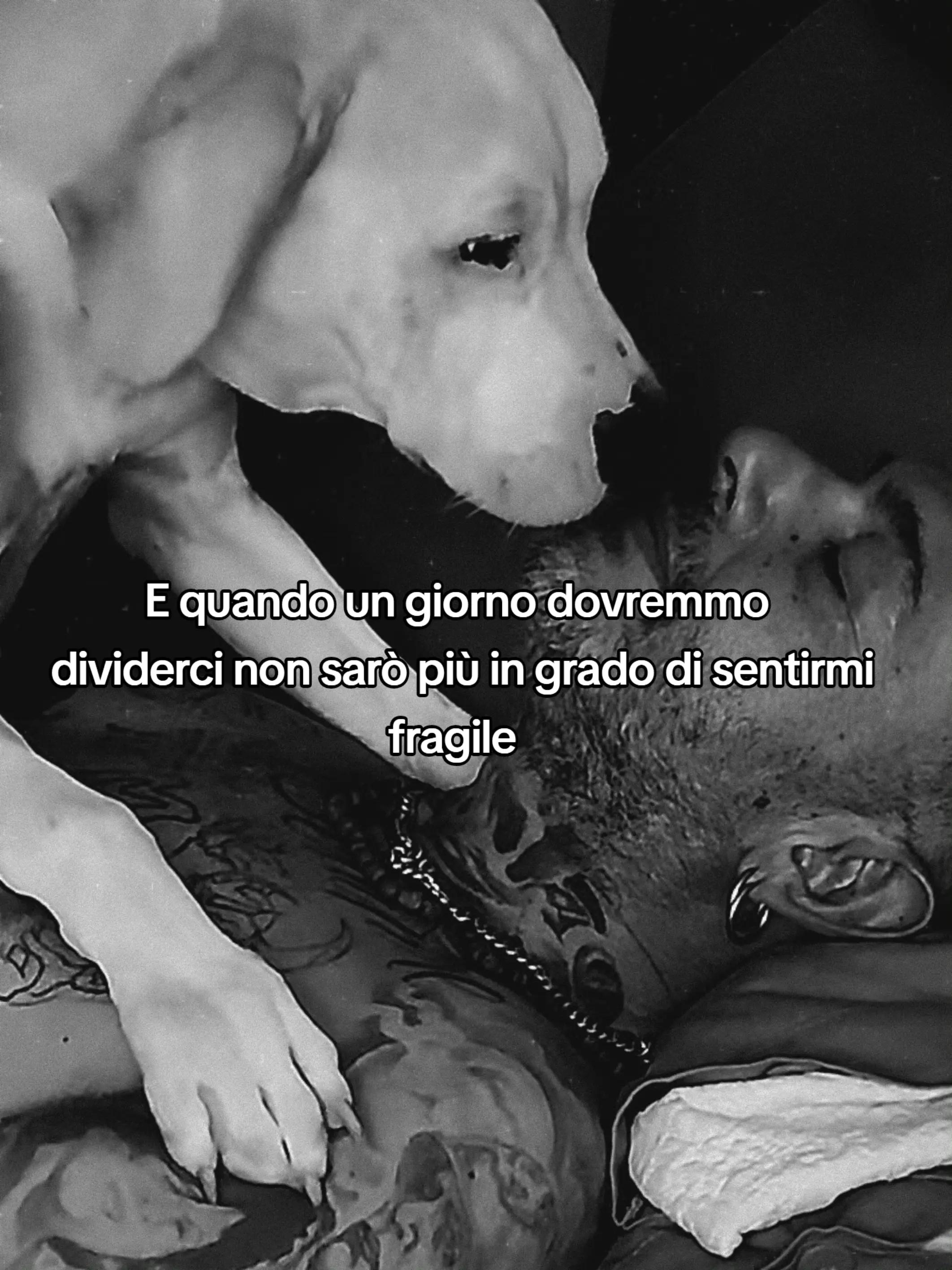 @Viggiano Giuseppe