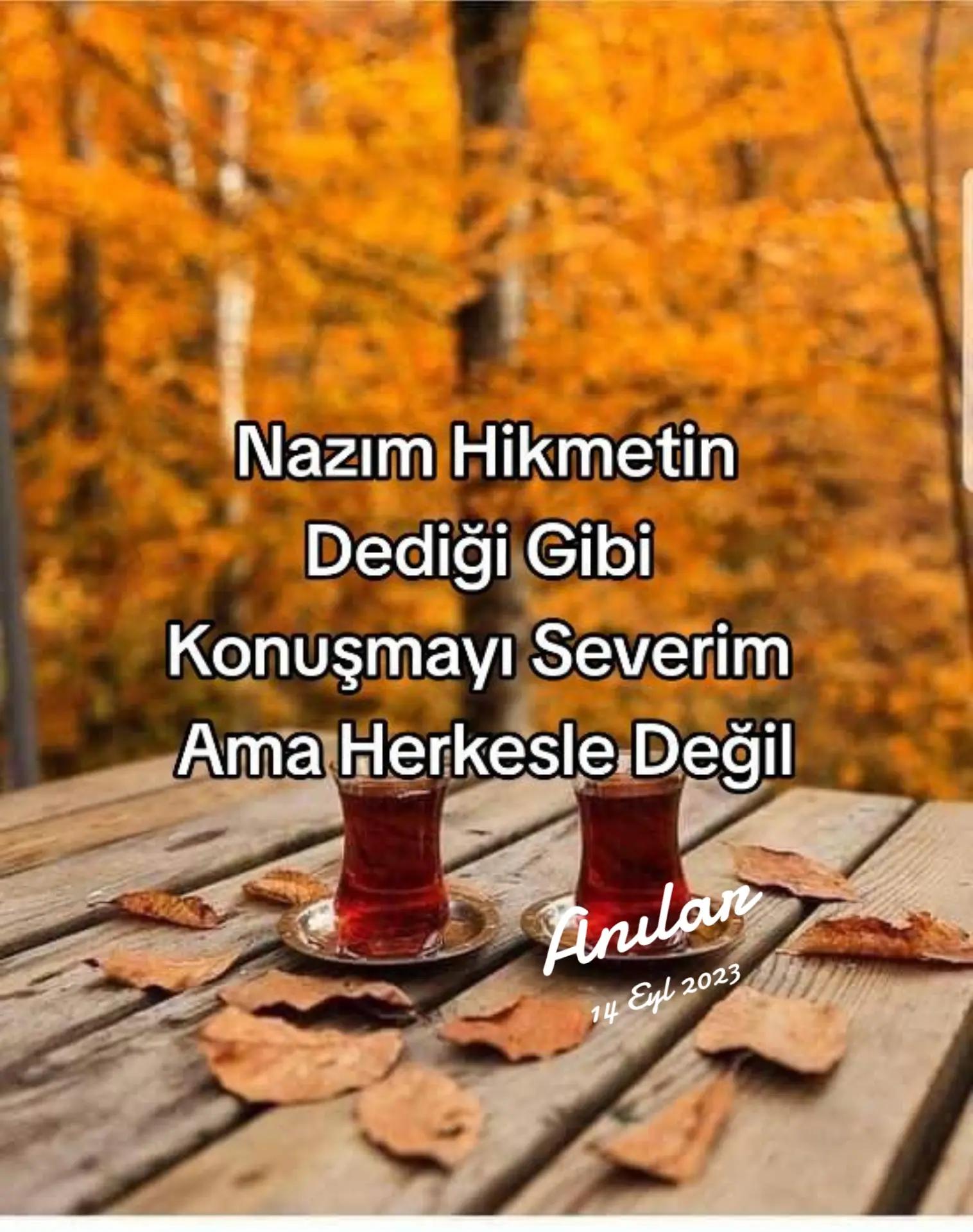 @birnefeskadar55