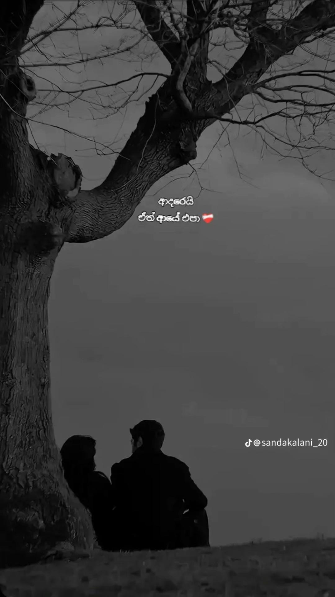 @🇱🇰 LANSA 🇫🇷
