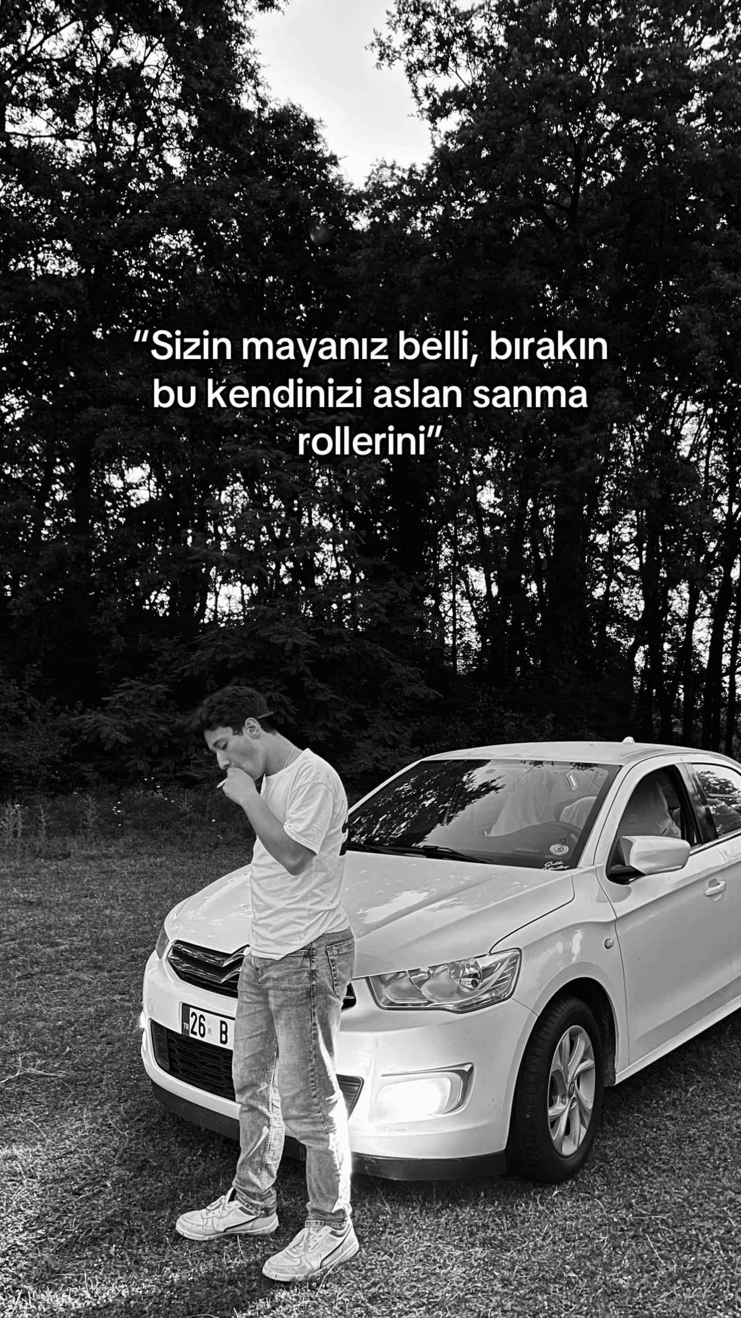 @T.E