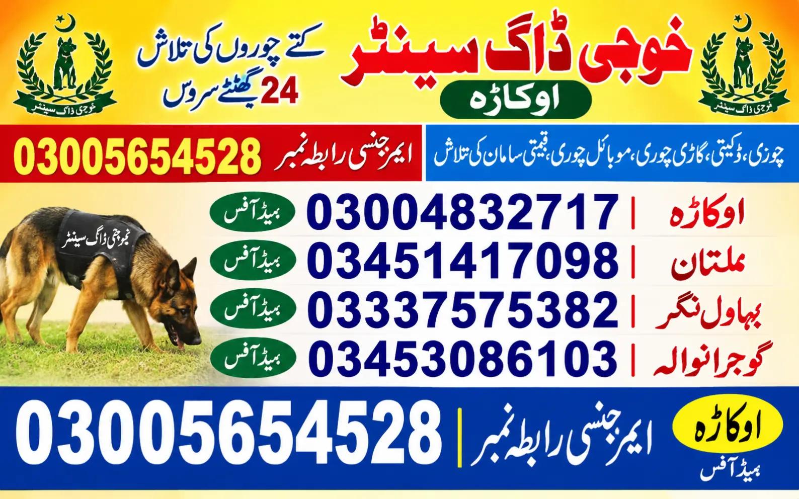 @khoji dog contact number