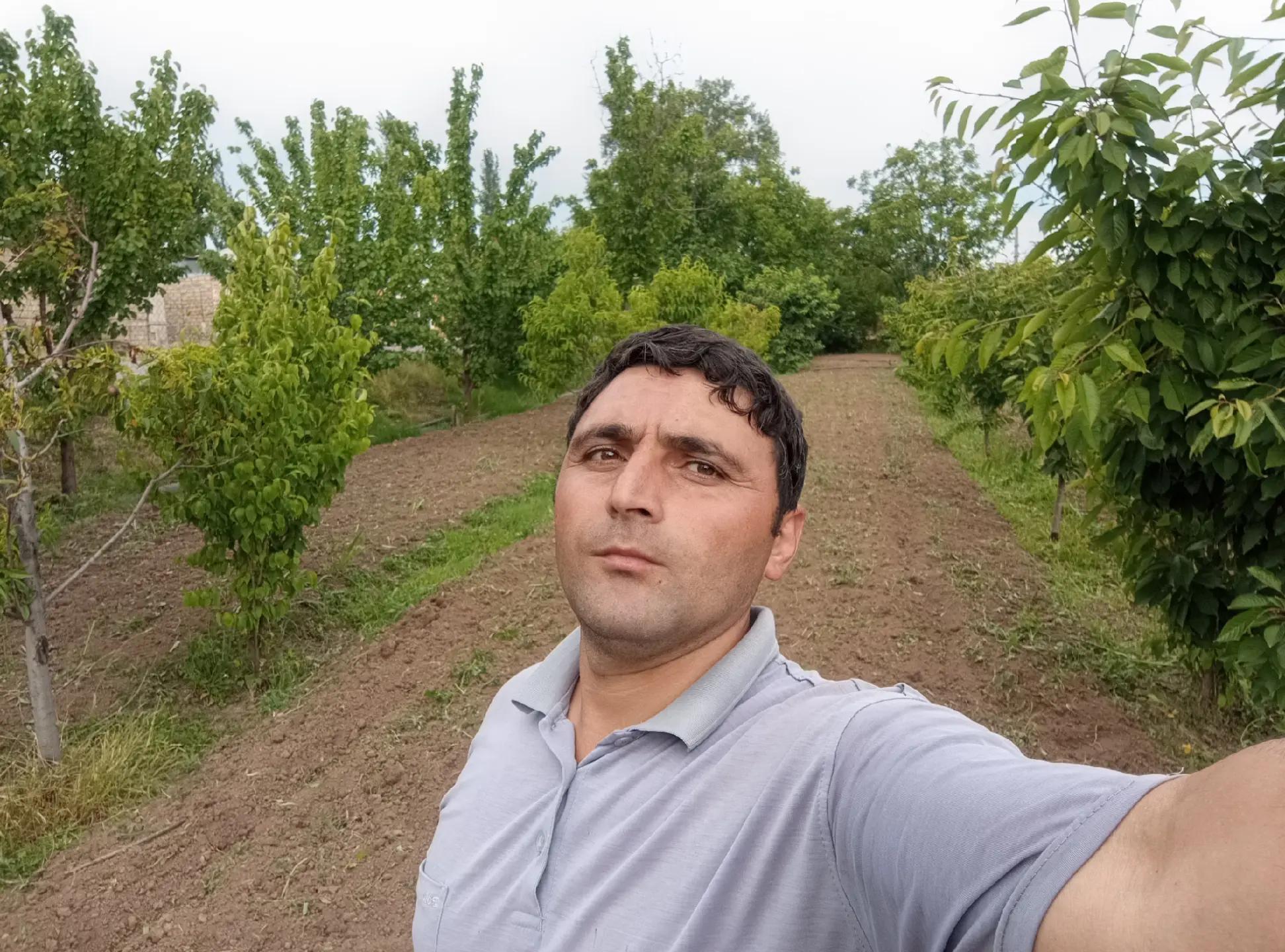 @mamed ceferli