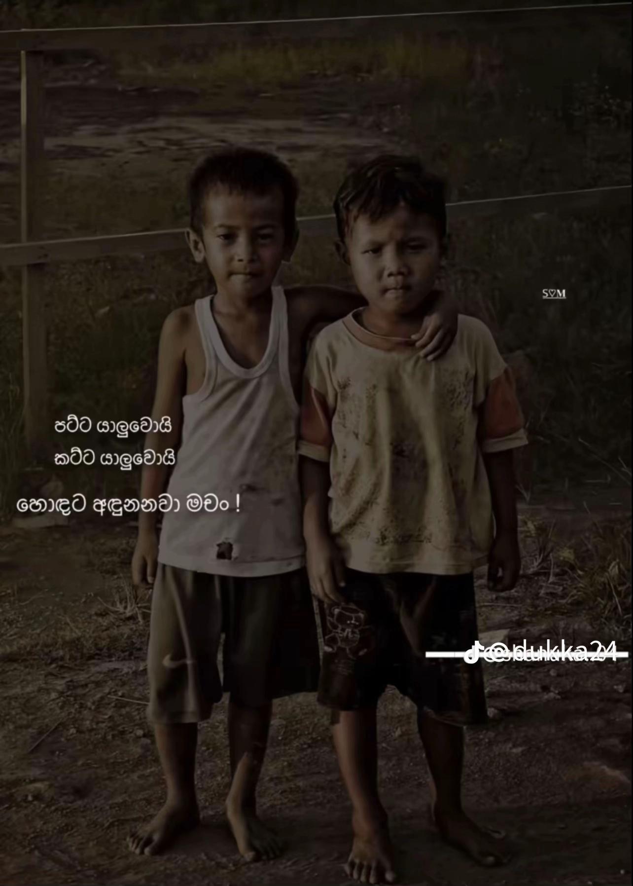 @YN_Sadaru