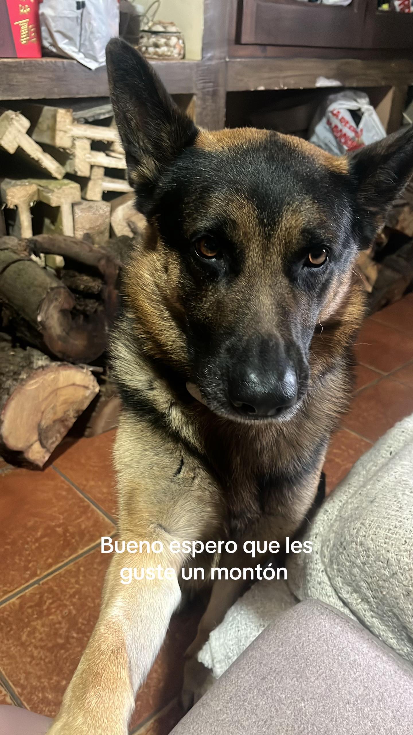 @aleejandraa.rp