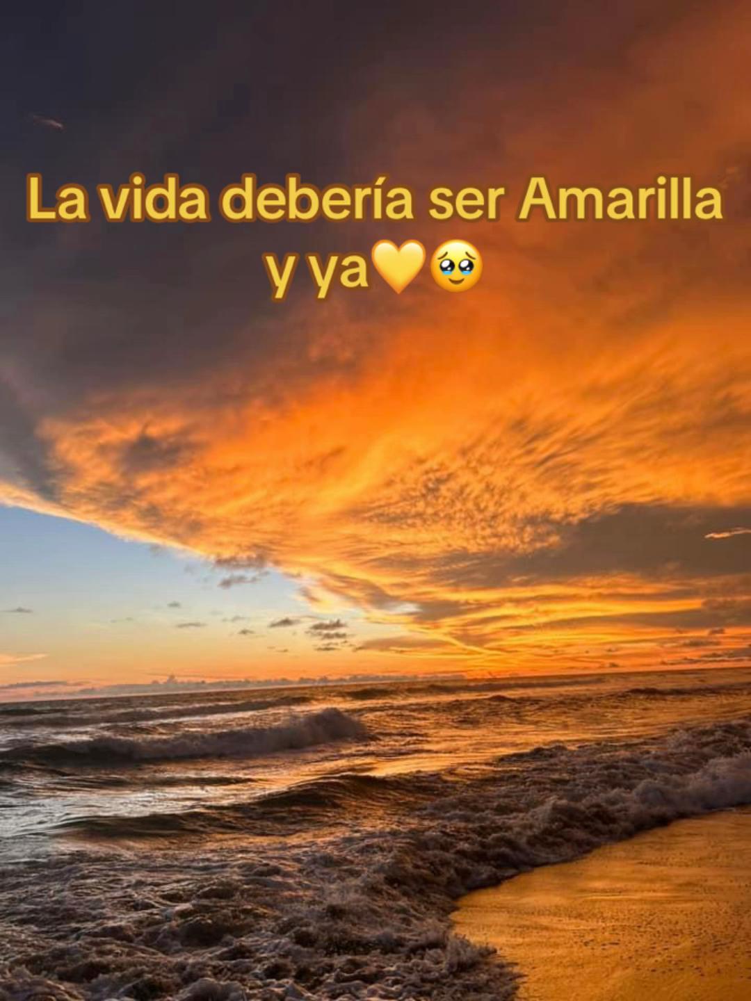 @Yaslí Díaz