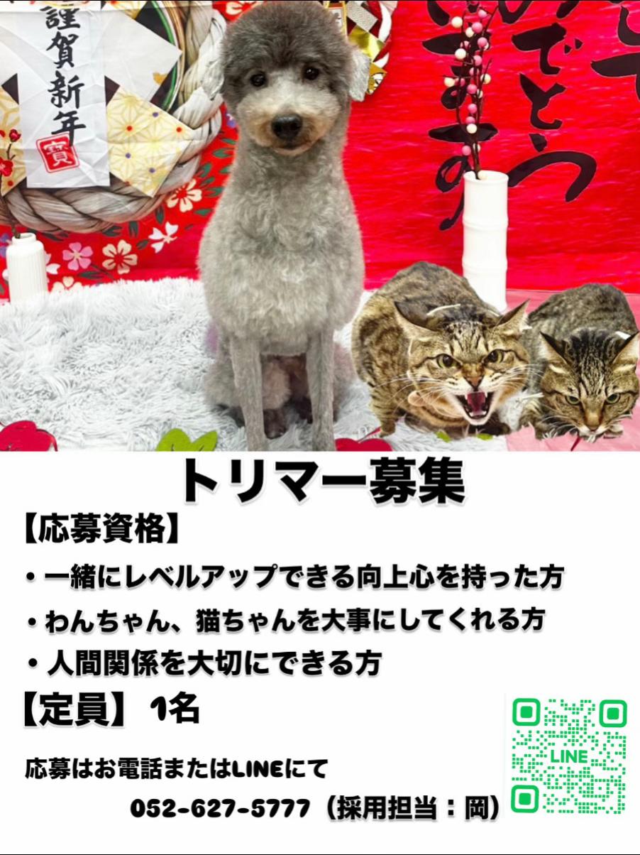 @petsalon_connect