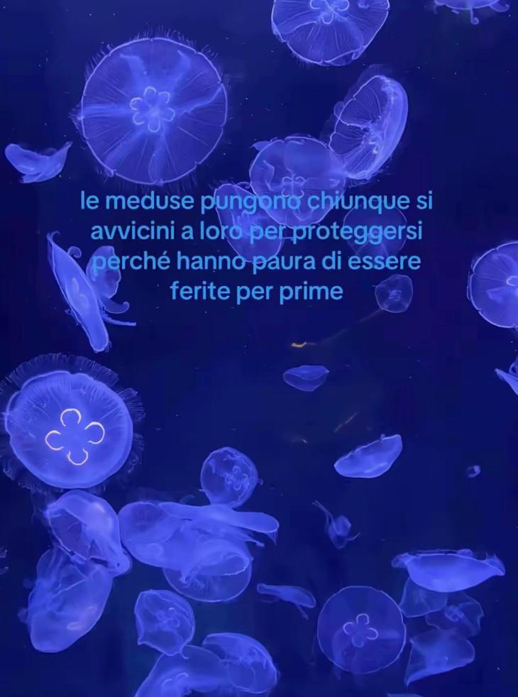 @🌙
