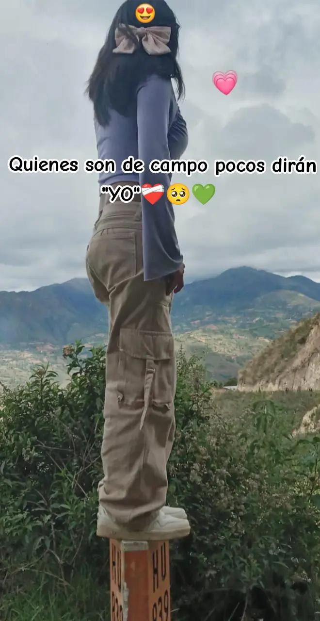 @😻🦋