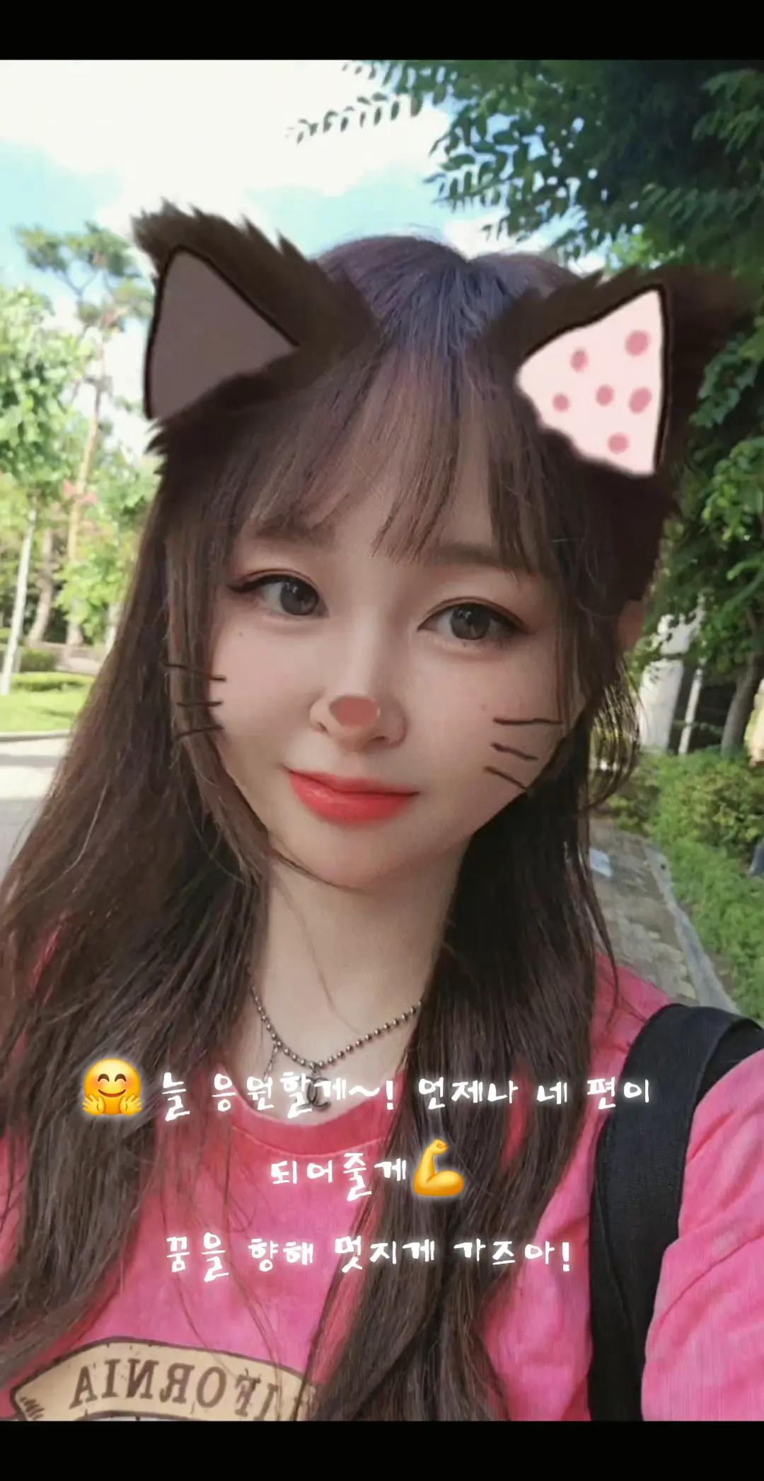 @핑크콕냥이들🐈⬛💕