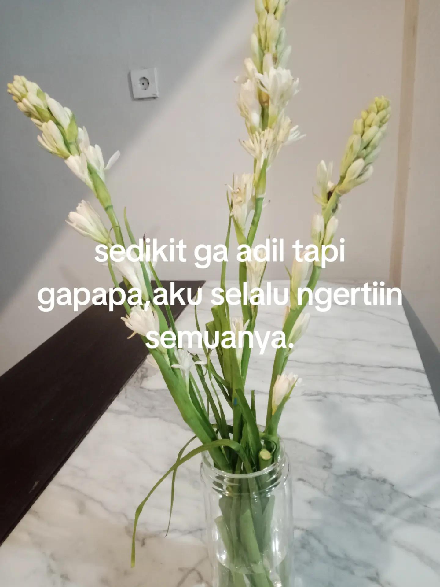 @sayektii