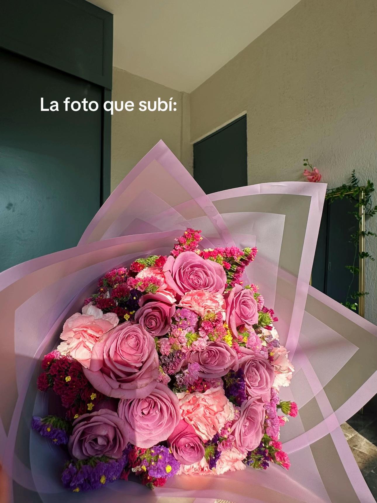 @Vayito 🌷