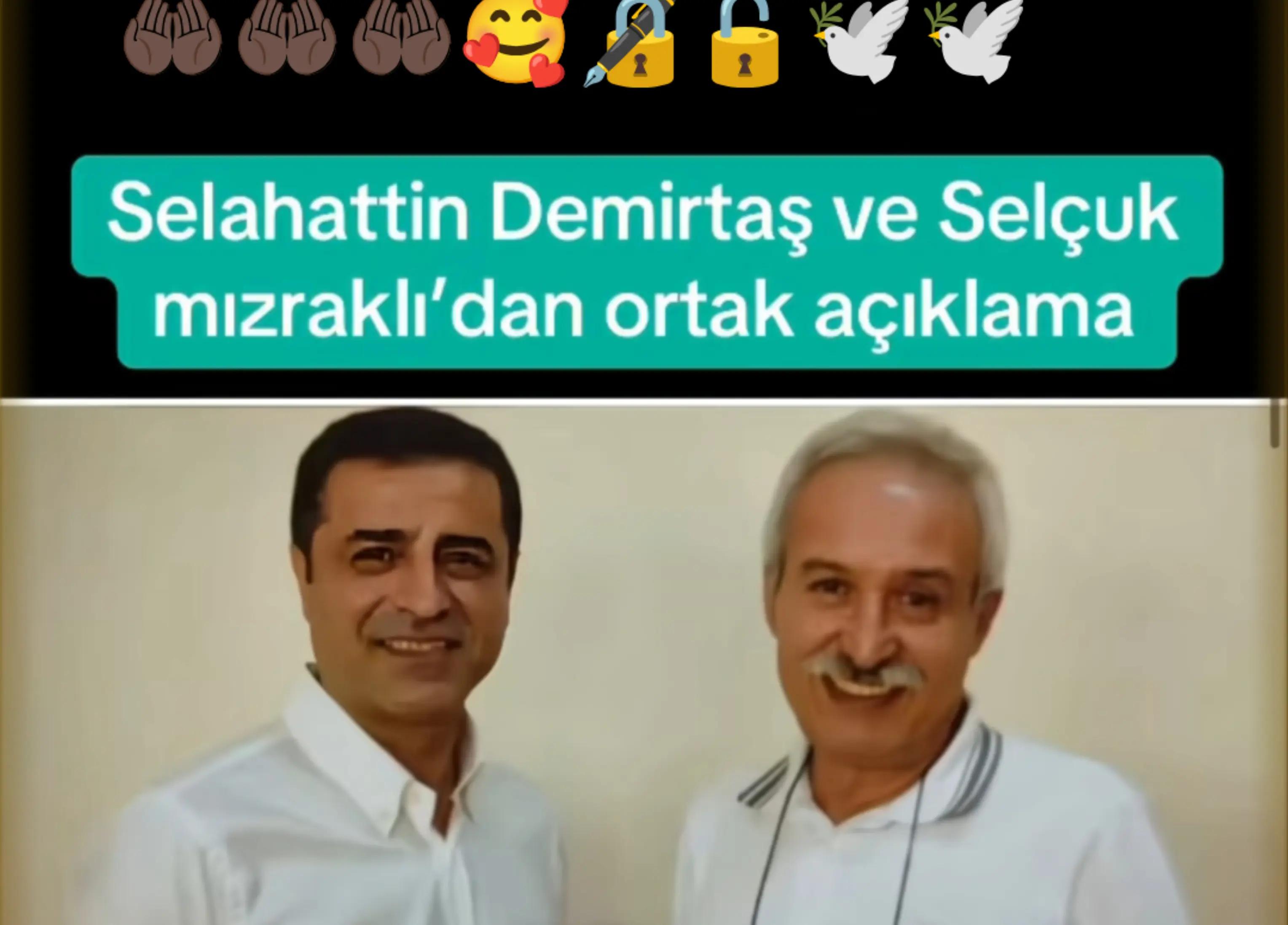 @elfidamm