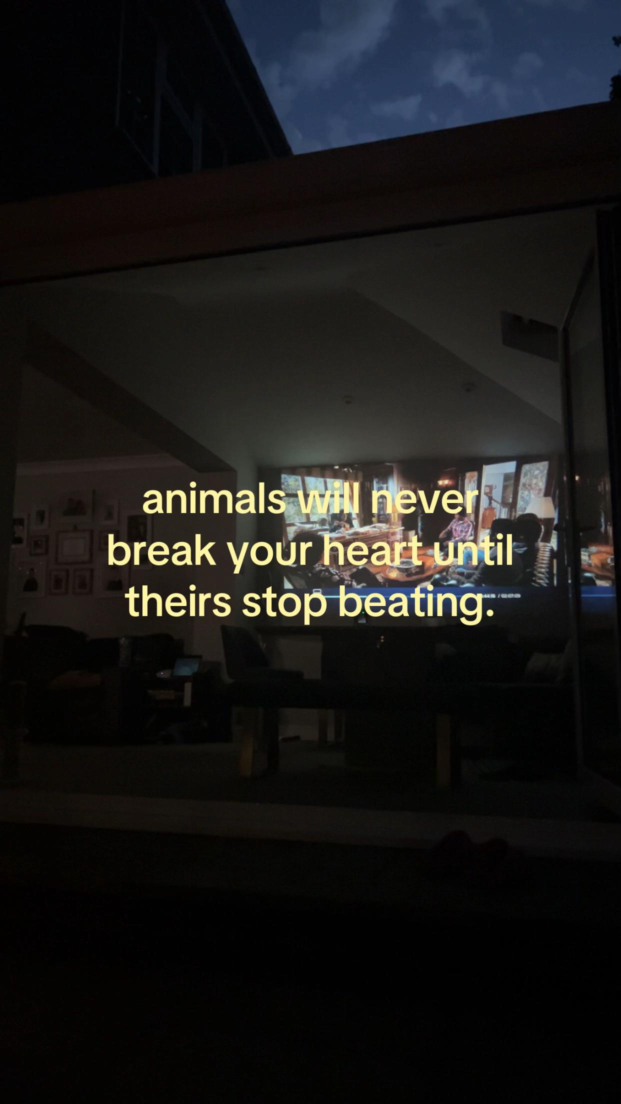 @luna🧸